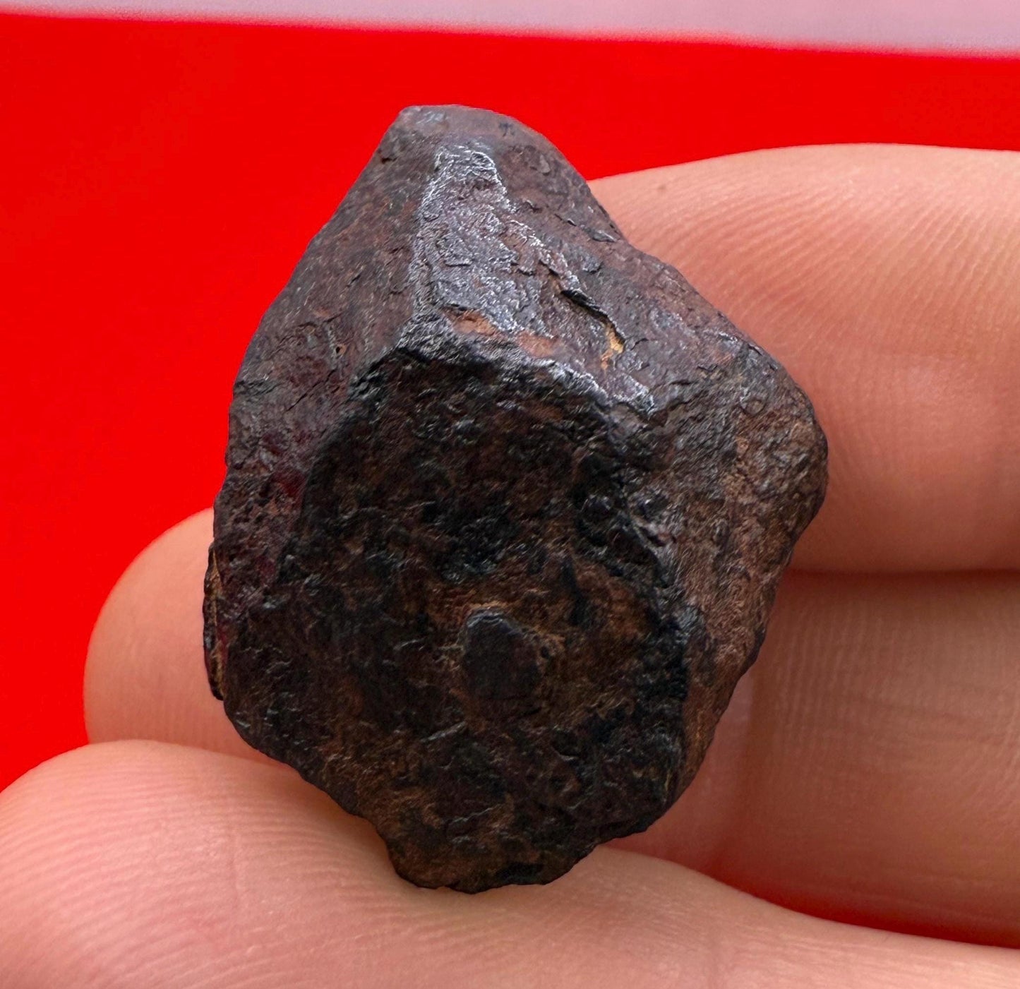 Gibeon Meteorite, Namibia, Iron IVA, 24.45 grams, Rare Meteorite, Iron Meteorite, Astronomy Gift, Space Gift, African Meteorite