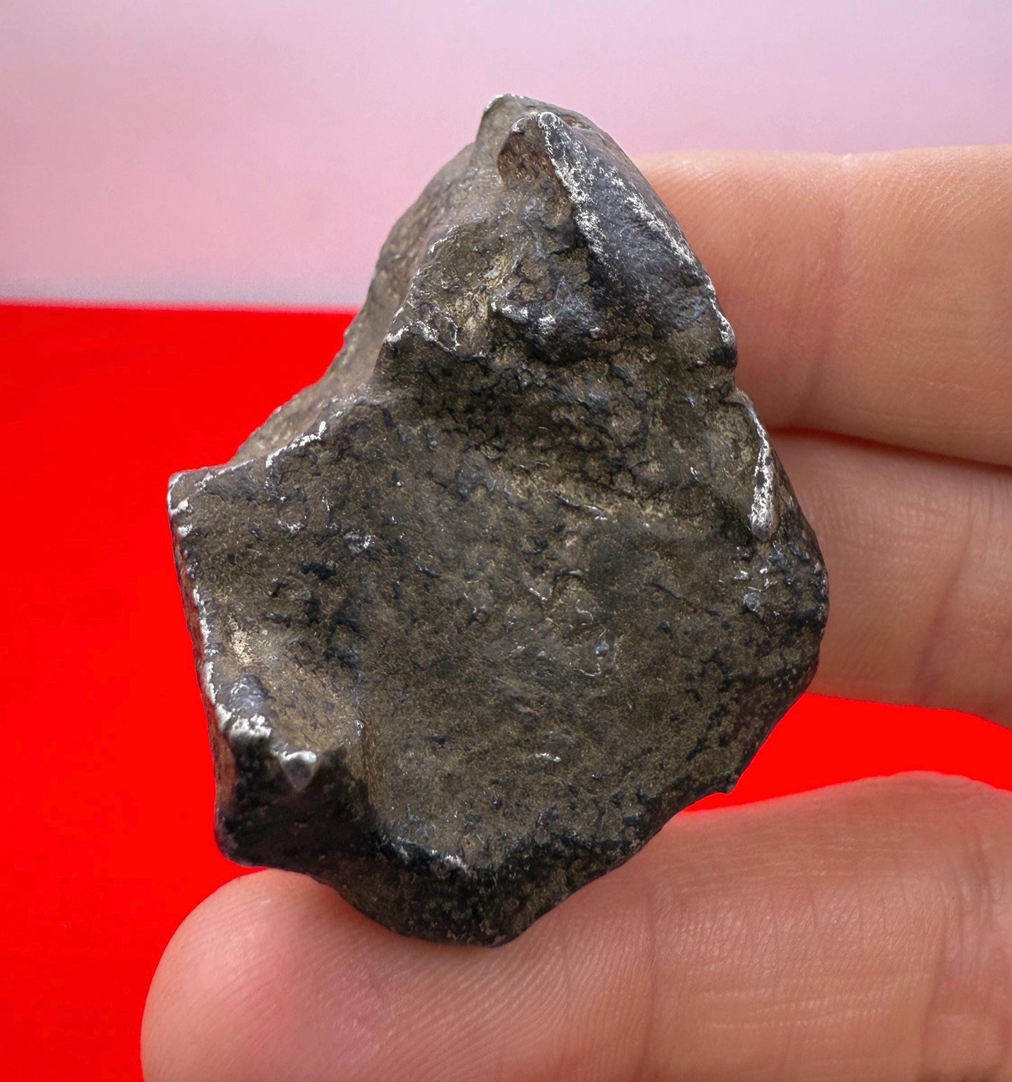 Unique Iron Meteorite Specimen Gebel Kamil, 72.49 grams, Astronomy Gift, Space Gift, Iron Meteorite, Egypt, Meteorite Collection, Space