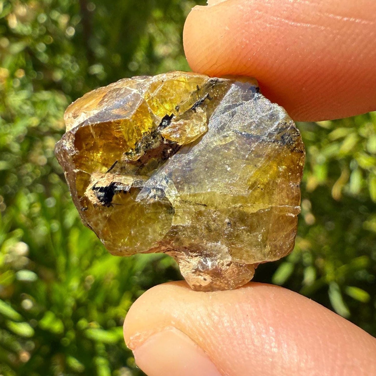 Sphene, Titanite, Golden Brown Sphene, Madagascar, Crystal Collection, Willpower, Mental Clarity, Reiki, Solar Plexus, 9.73 grams