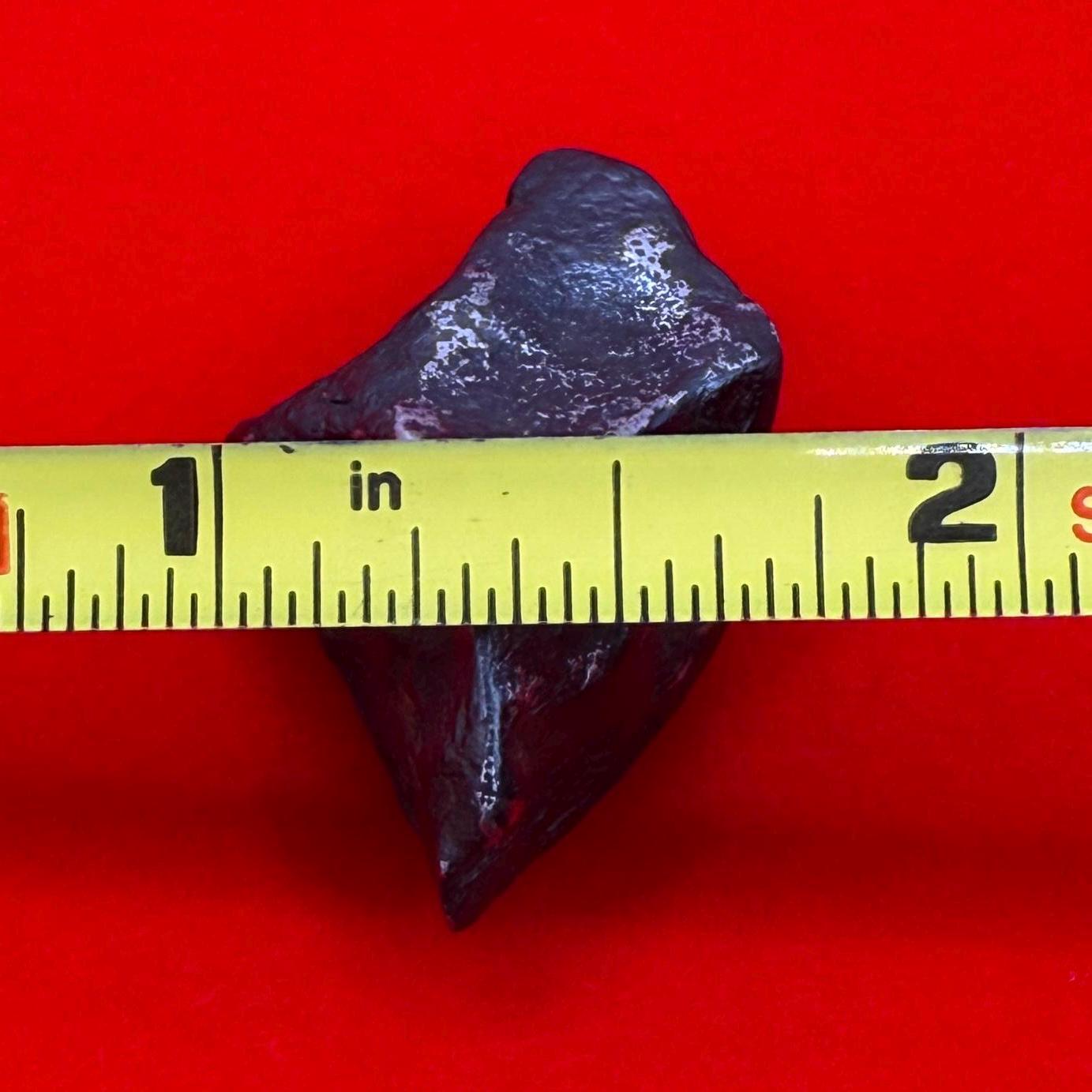 Rare and Unique Agoudal Meteorite Specimen, grams, Iron Meteorite, Astronomy Gift, Space Gift, Meteorites, Iron Meteorite, 16.45 grams