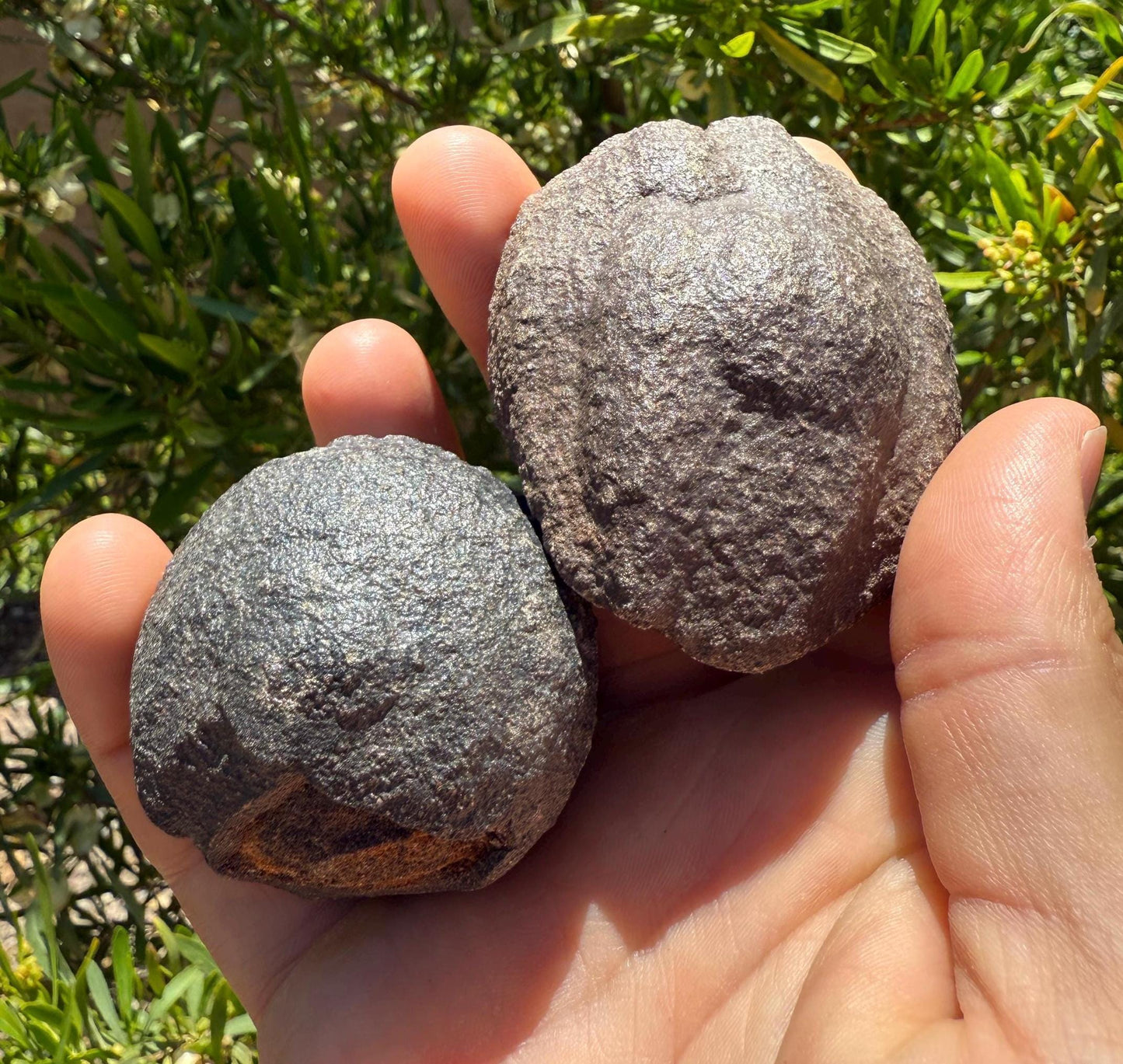 Rare Large Moqui Marbles, Pair of Stones, Shaman Stones, Southern Utah, Thunder Stones, Hopi Marbles, Sandstone, 8.6 oz|244 grams