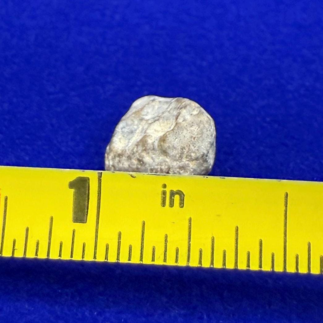 NWA 13974 Moon|Lunar Meteorite, Feldspathic Breccia, Moon Meteorite, Meteorite Collection, Lunar Feldspathic Breccia, 0.67 grams
