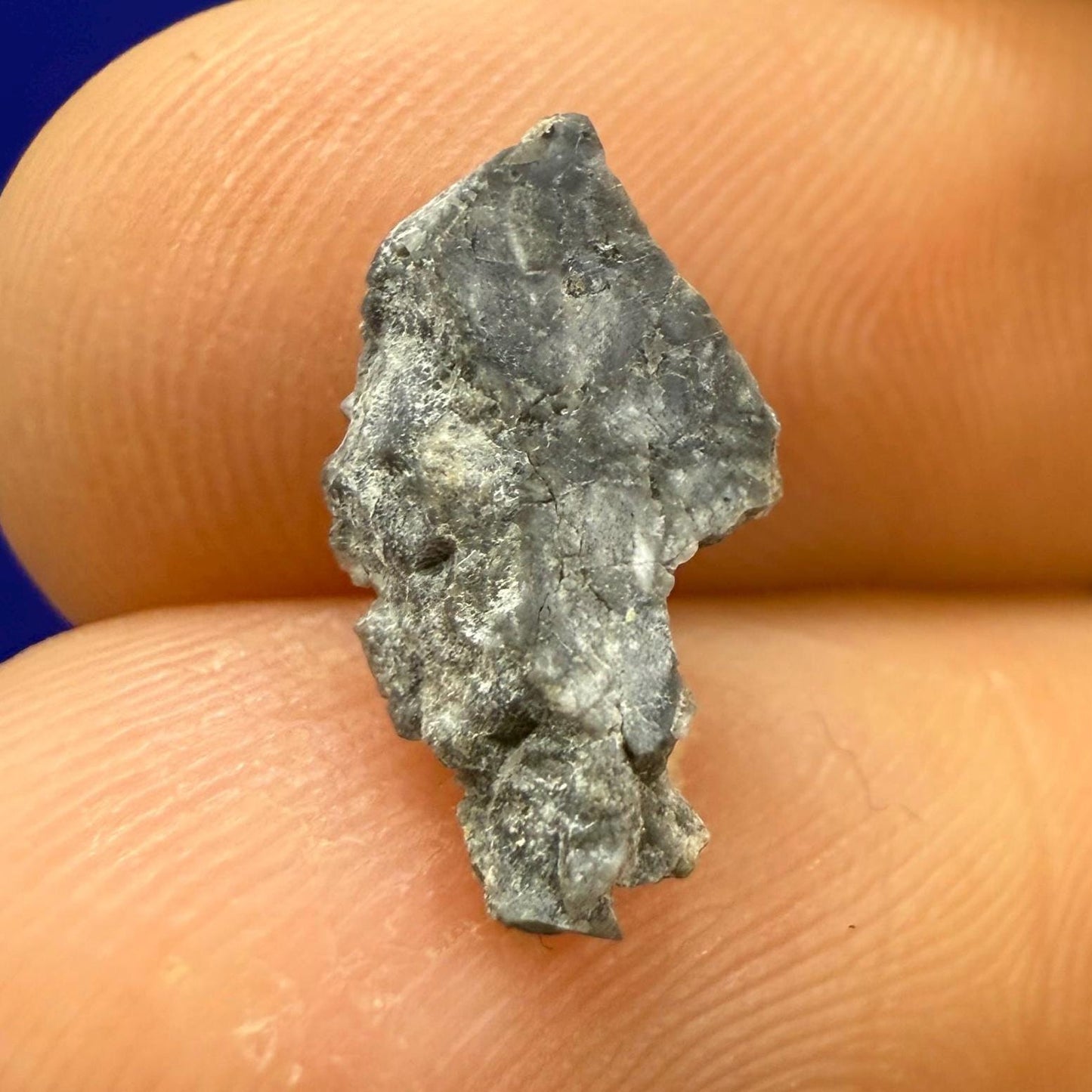 Gadamis 003 Moon/Lunar Meteorite Slice, Authentic Lunar Meteorite,Apollo Lunar, Moon Meteorite, Meteorite Collection, Moon Slice, 0.44 grams
