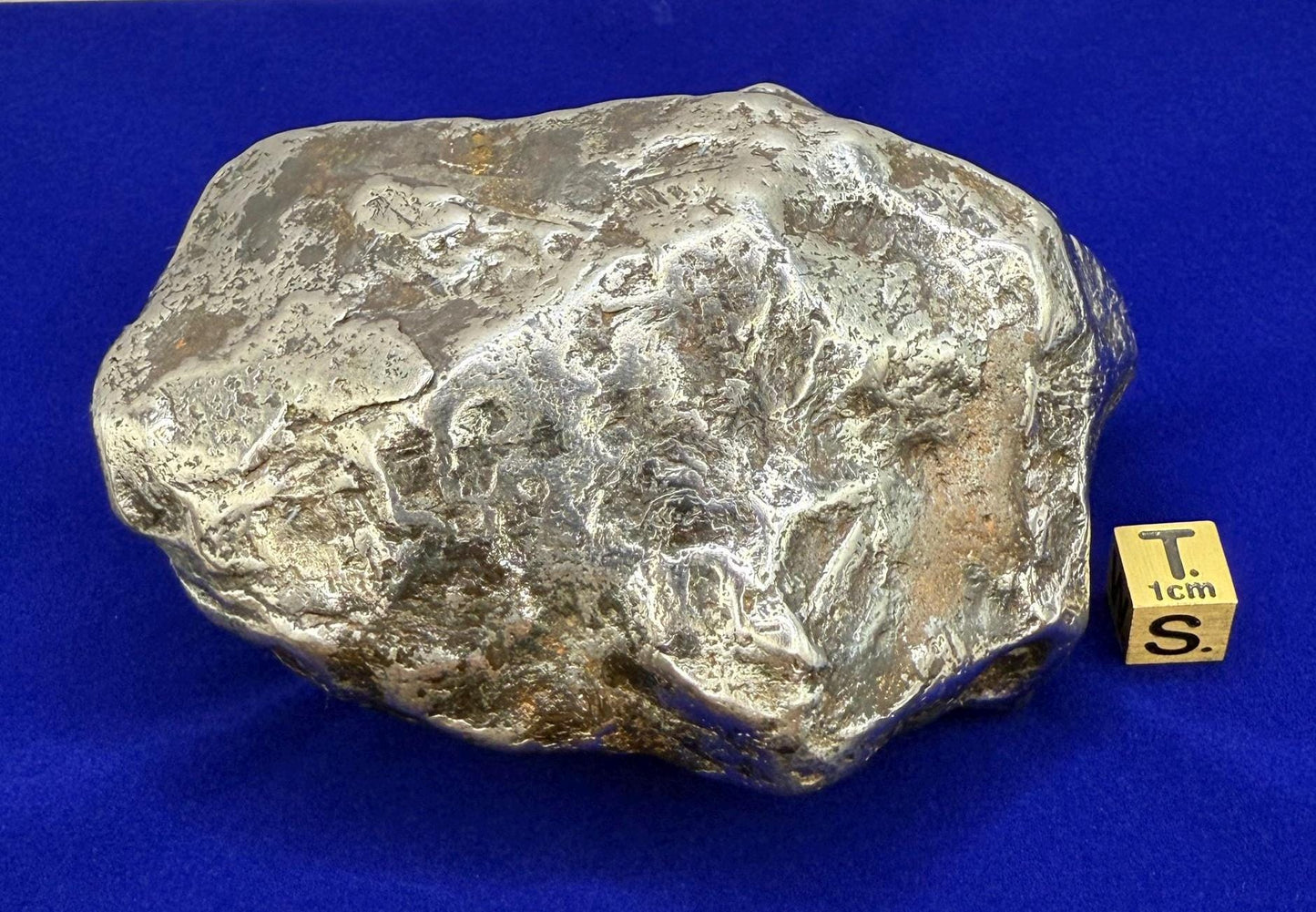 Beautiful Large Aletai Meteorite Specimen, 3 lbs 2.1oz, Meteorite Collection, Astronomy Gift, Authentic Meteorite, Space Gift, Office Decor