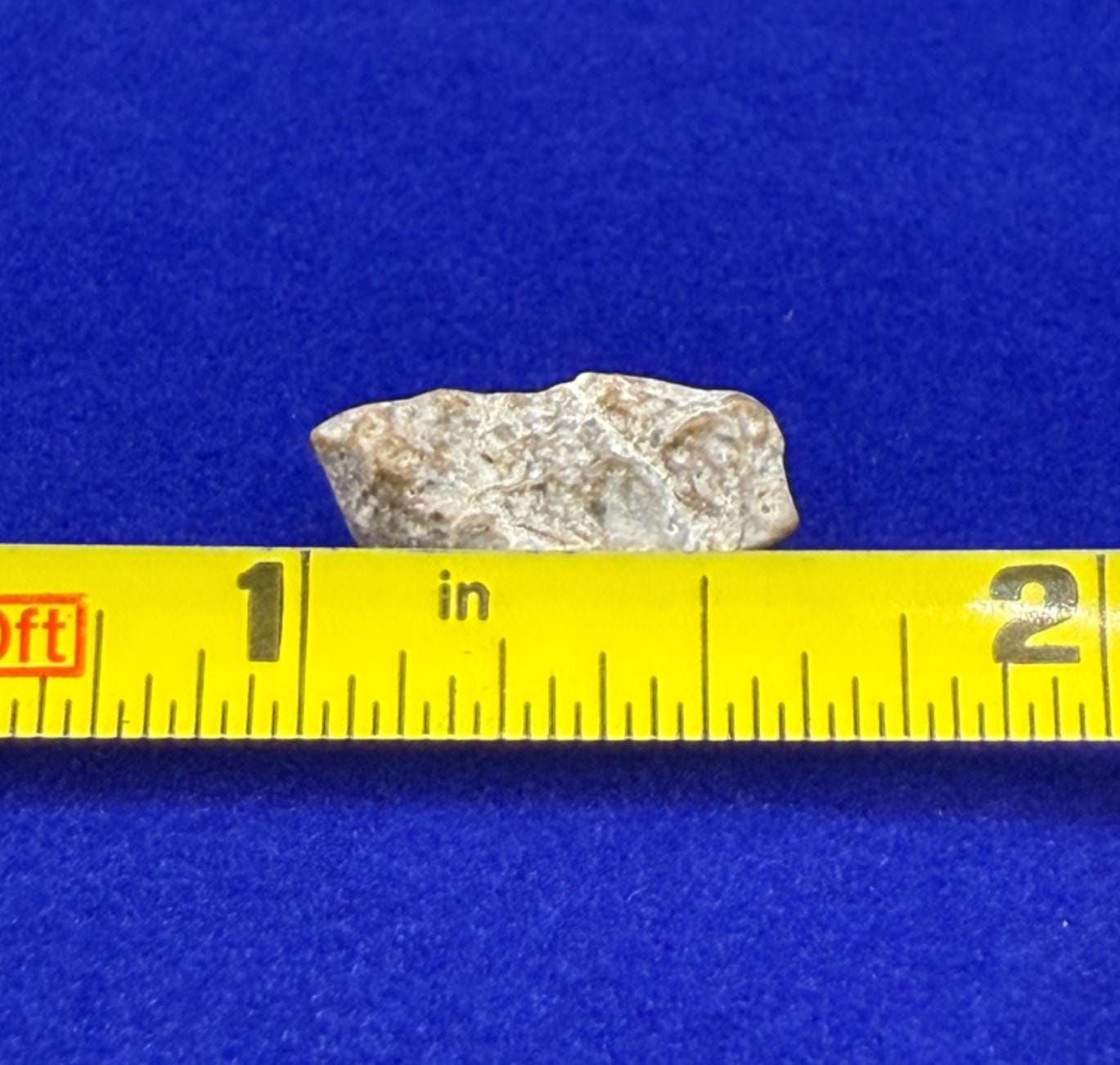 NWA 13974 Moon|Lunar Meteorite, Feldspathic Breccia, Moon Meteorite, Meteorite Collection, Lunar Feldspathic Breccia, 0.88 grams