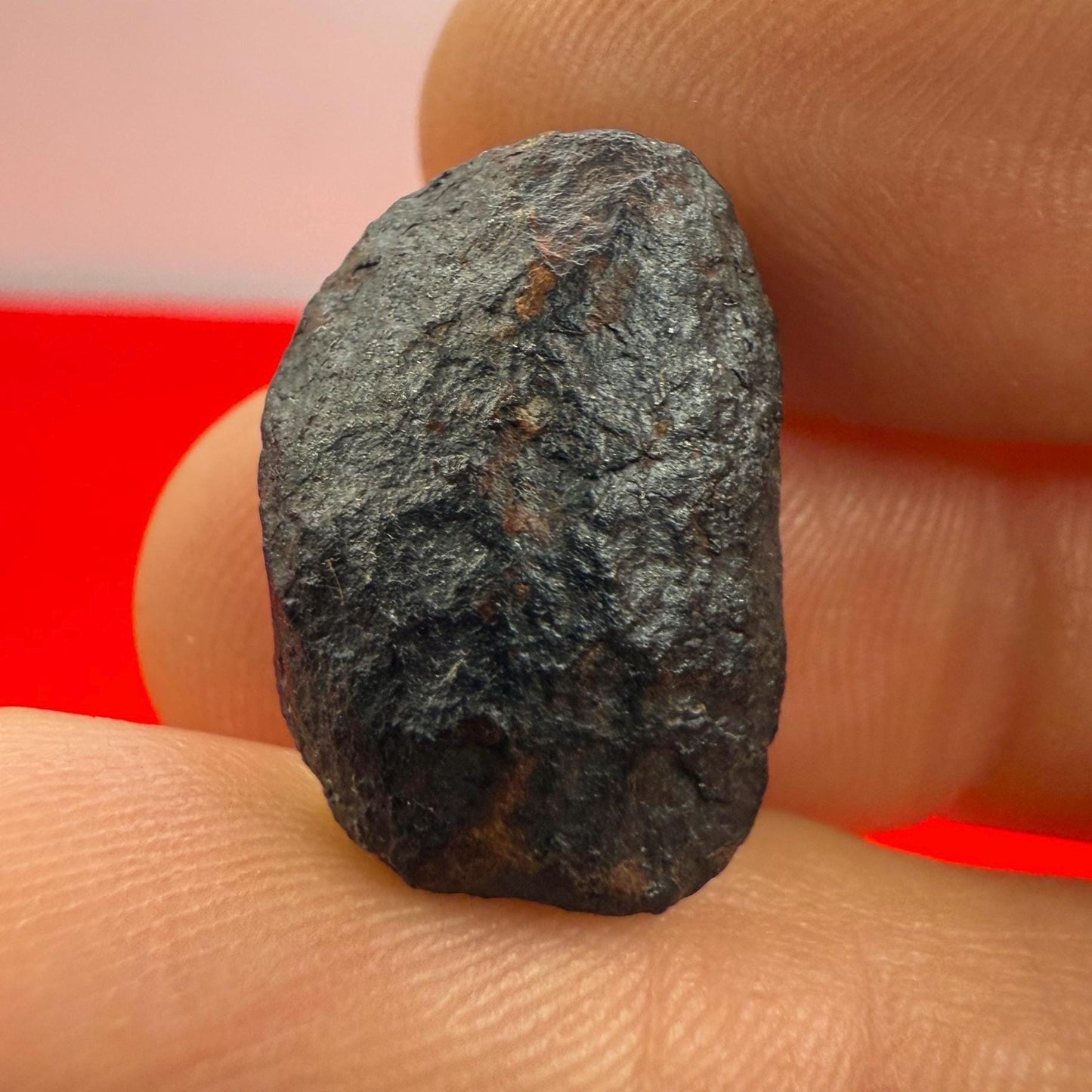 Unique Iron Meteorite Mundrabilla, 9.13 grams, Astronomy Gift, Space Gift, Iron Meteorite, Australia, Meteorite Collection, Space, COA