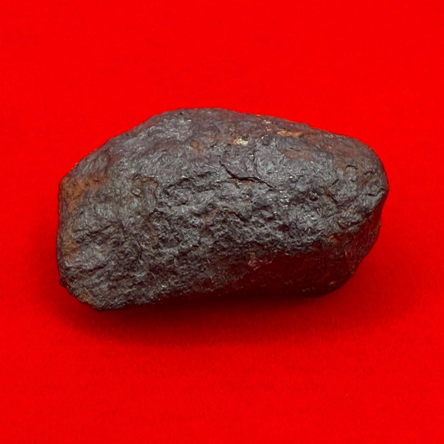 Unique Iron Meteorite Mundrabilla, 9.13 grams, Astronomy Gift, Space Gift, Iron Meteorite, Australia, Meteorite Collection, Space, COA