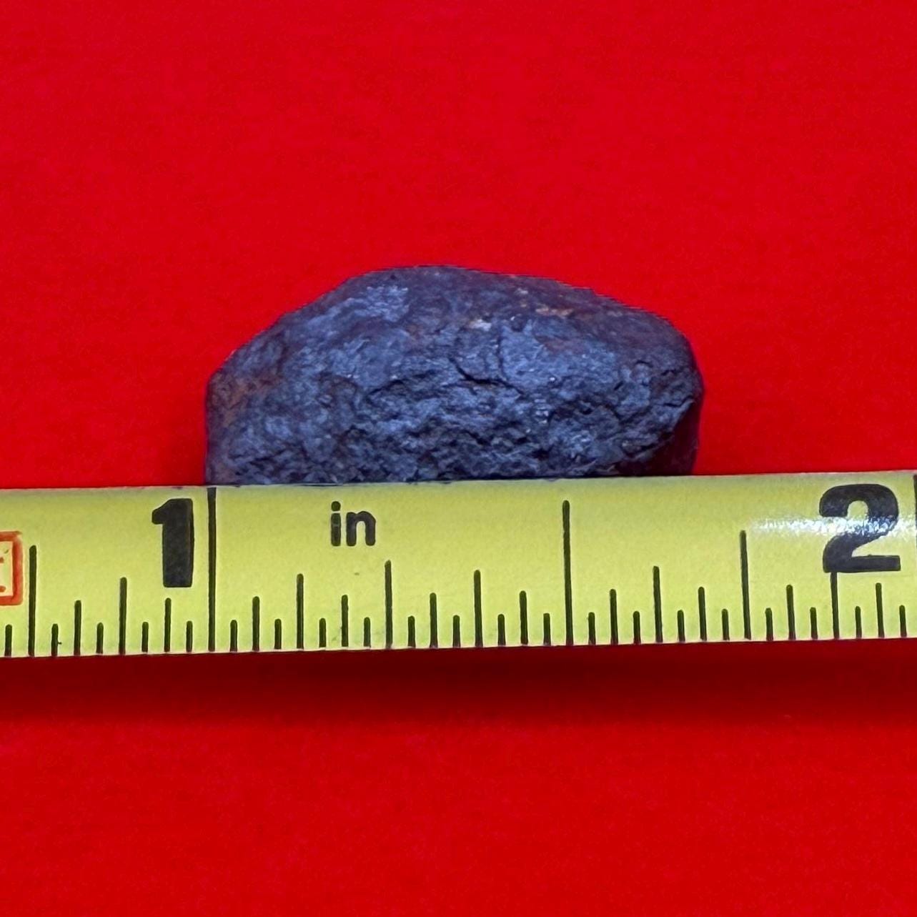 Unique Iron Meteorite Mundrabilla, 9.13 grams, Astronomy Gift, Space Gift, Iron Meteorite, Australia, Meteorite Collection, Space, COA