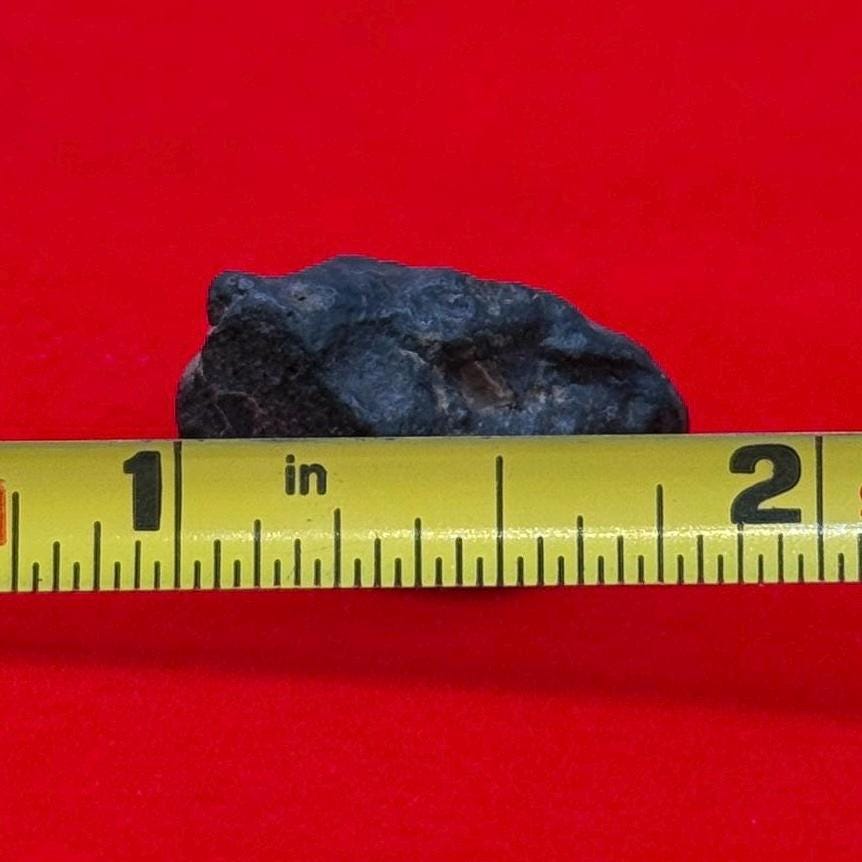 Meteorite NWA 869 Chondrite Stony Meteorite, 3.96 grams, Authentic Meteorite, Authentic Meteorite, COA, Astronomy Gift, Space Gift