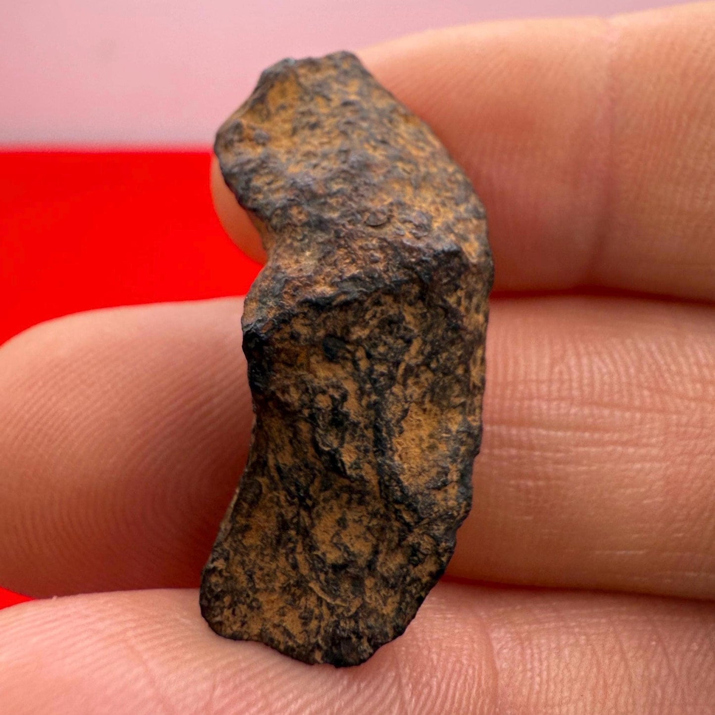 Henbury Meteorite Specimen, Australia, 9.57 grams, Rare Meteorite, Iron Meteorite, Astronomy Gift, Space Gift, Australian Meteorite