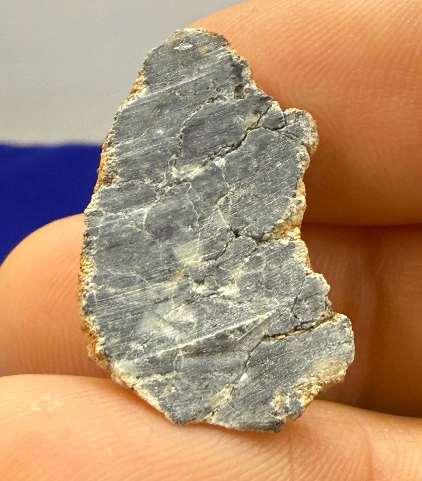 Bechar 007 Moon|Lunar Meteorite, Feldspathic Breccia, Moon Meteorite Half, Meteorite Collection, Lunar Feldspathic Breccia, 4.31 grams