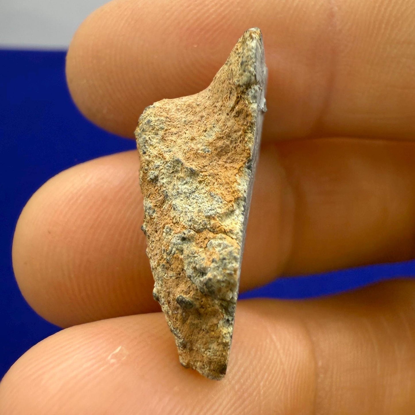 Bechar 007 Moon|Lunar Meteorite, Feldspathic Breccia, Moon Meteorite Half, Meteorite Collection, Lunar Feldspathic Breccia, 4.31 grams