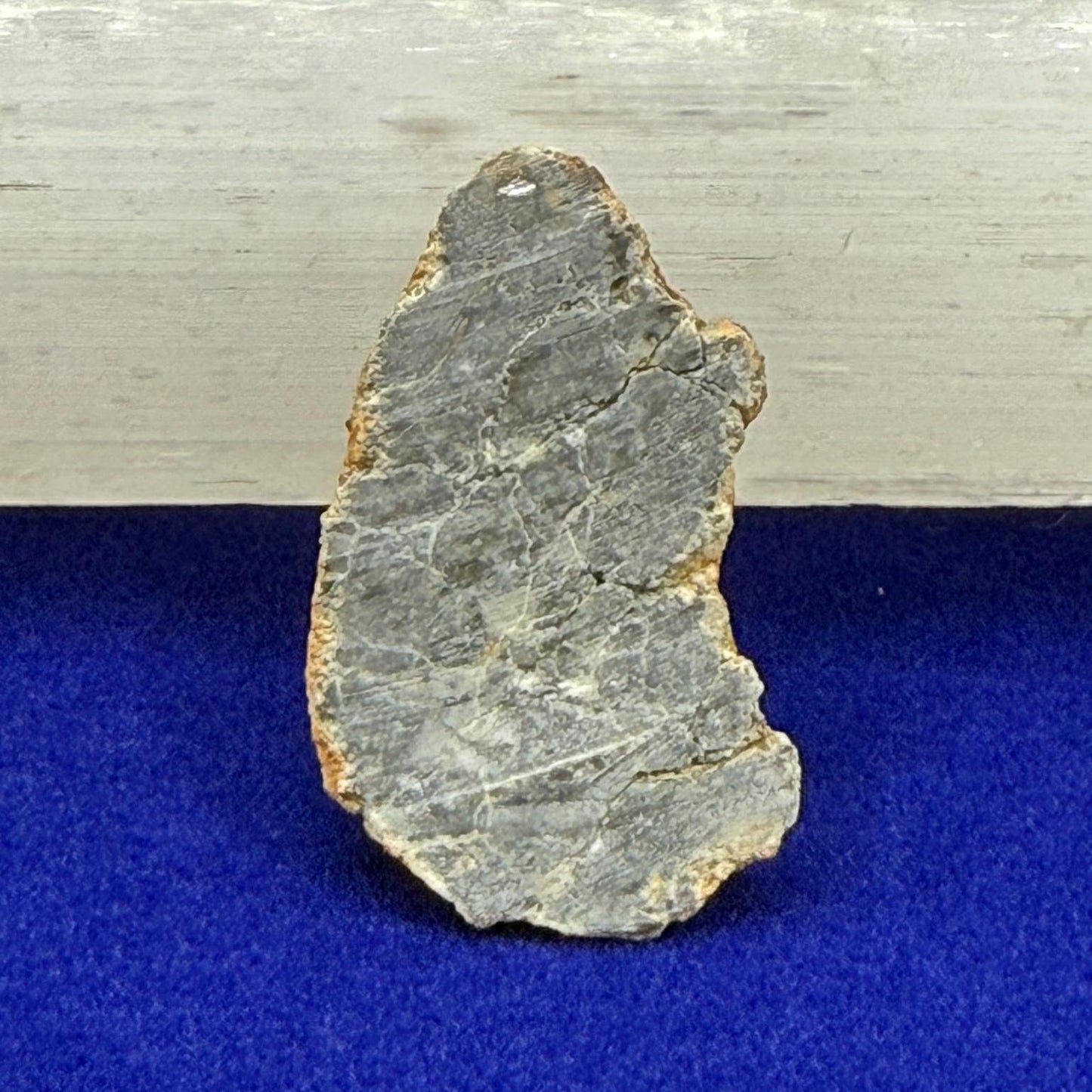 Bechar 007 Moon|Lunar Meteorite, Feldspathic Breccia, Moon Meteorite Half, Meteorite Collection, Lunar Feldspathic Breccia, 4.31 grams