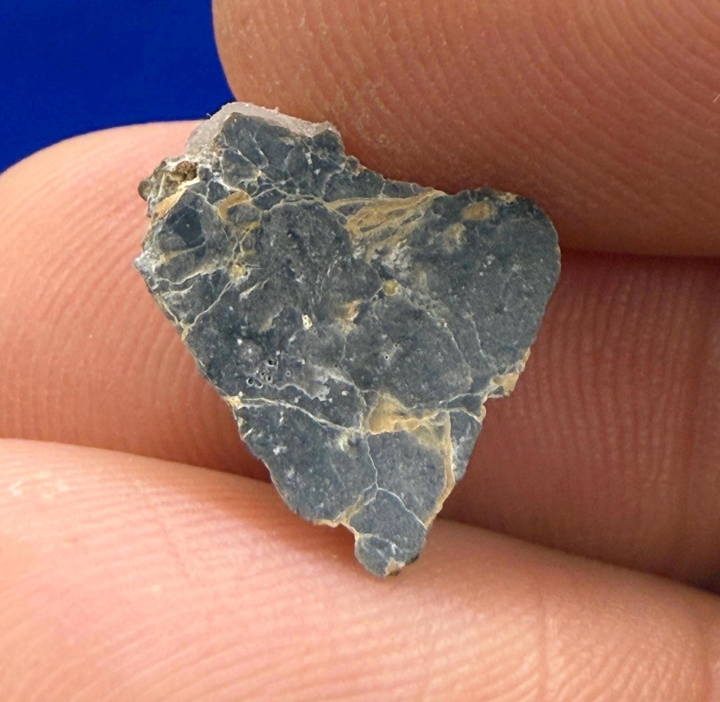 NWA 11182 Moon/Lunar Slice, Moon Rock, Moon Meteorite, Lunar Feldspathic Breccia, Meteorite Collection, Space Gift, Astronomy Gift, 0.66g