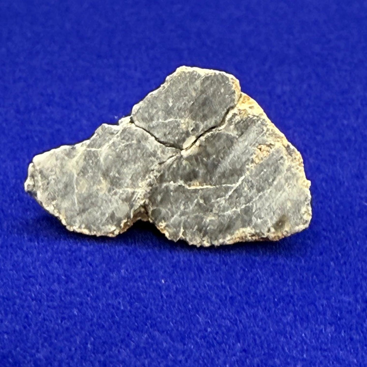 Bechar 007 Moon|Lunar Meteorite, Feldspathic Breccia, Moon Meteorite Half, Meteorite Collection, Lunar Feldspathic Breccia, 2.28 grams