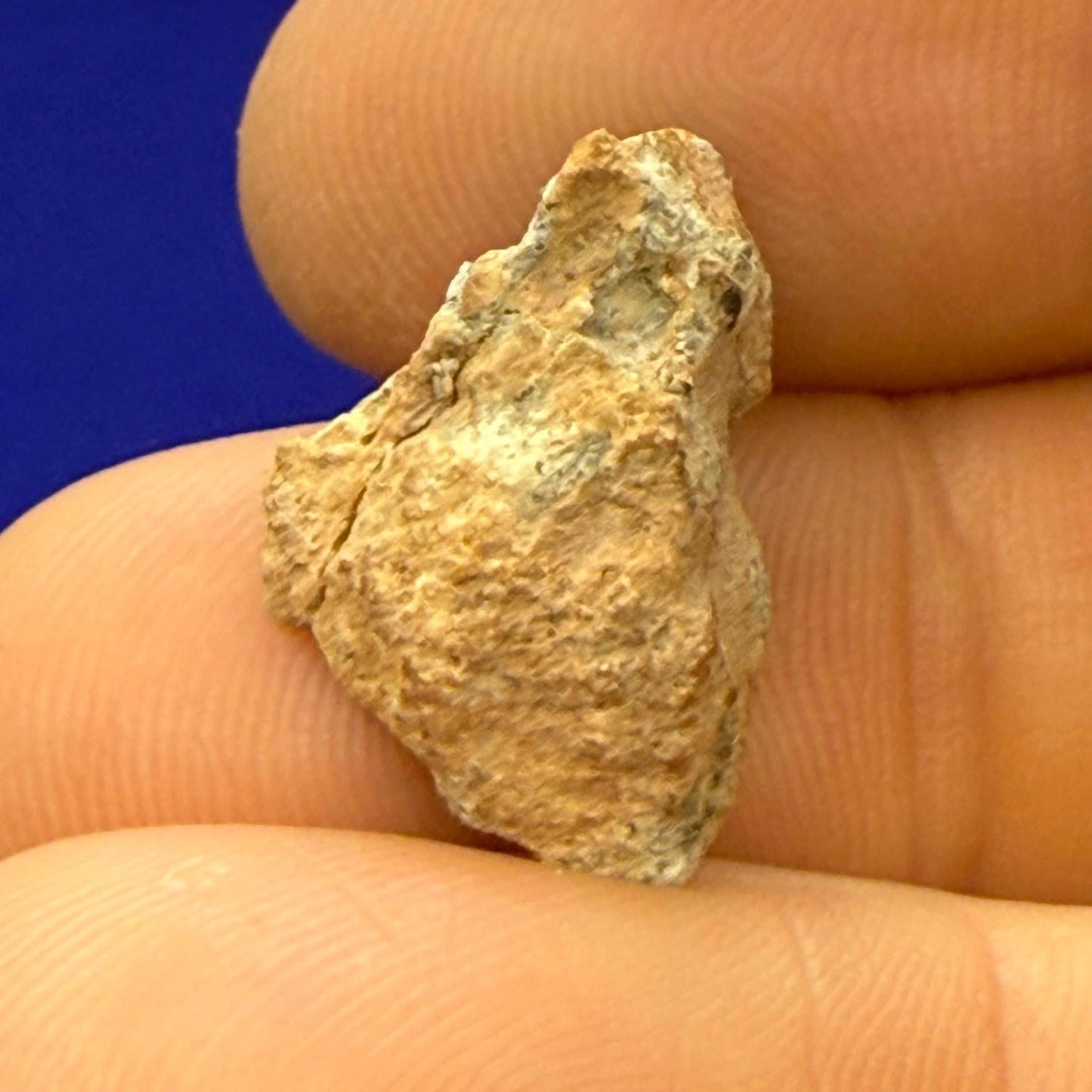 Bechar 007 Moon|Lunar Meteorite, Feldspathic Breccia, Moon Meteorite Half, Meteorite Collection, Lunar Feldspathic Breccia, 2.28 grams