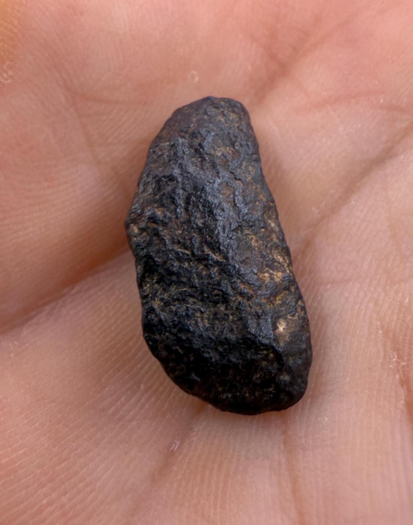 Gibeon Meteorite, Namibia, Iron IVA, 5.50 grams, Rare Meteorite, Iron Meteorite, Astronomy Gift, Space Gift, African Meteorite