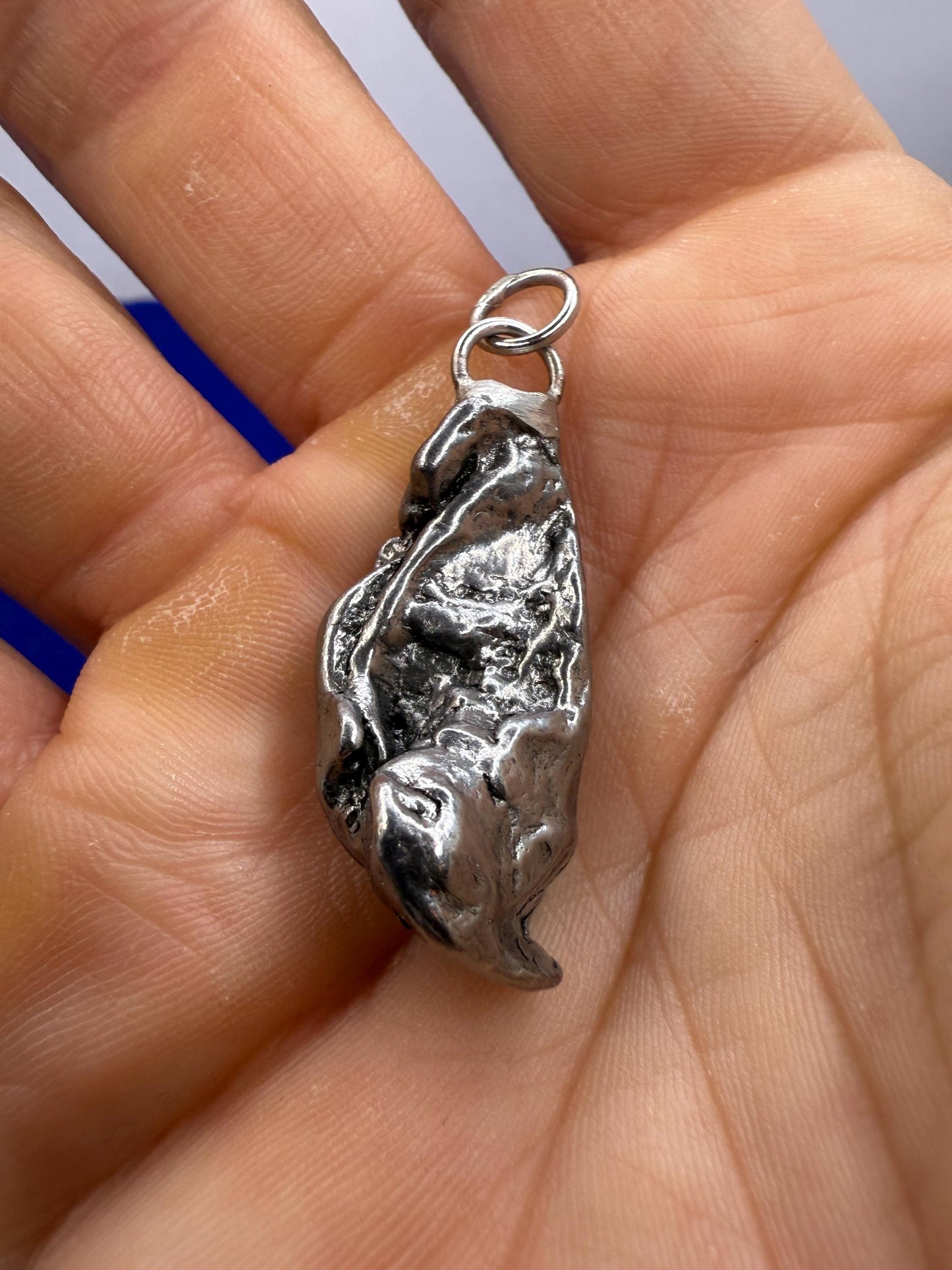 Beautiful Aletai Meteorite Pendant, 14.41 grams, Astronomy Gift, Authentic Meteorite, Meteorite Jewelry, Meteorite Pendant, COA, Space Gift