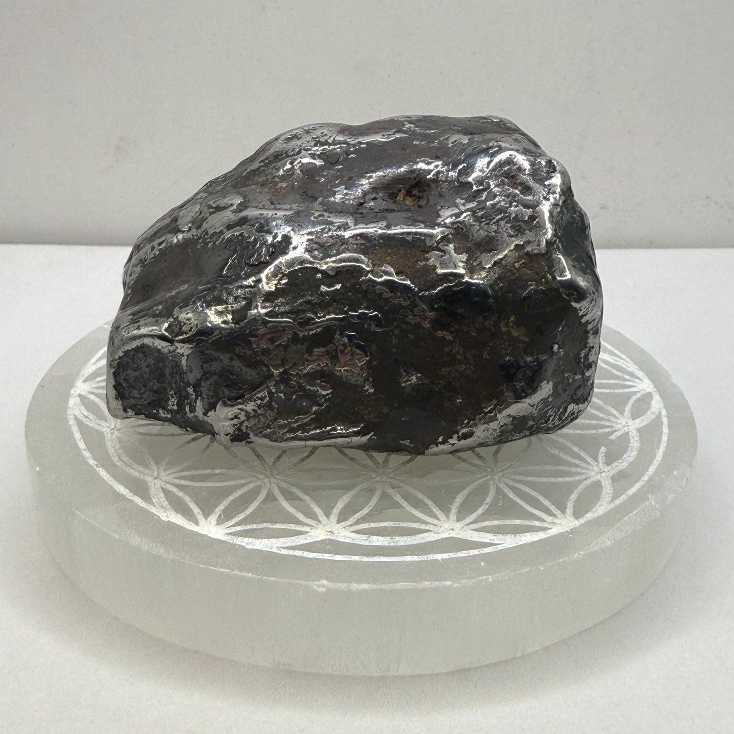 Beautiful Large Aletai Meteorite Specimen, 1.5 Lbs, Meteorite Collection, Astronomy Gift, Authentic Meteorite, Space Gift, Office Decor, Coa