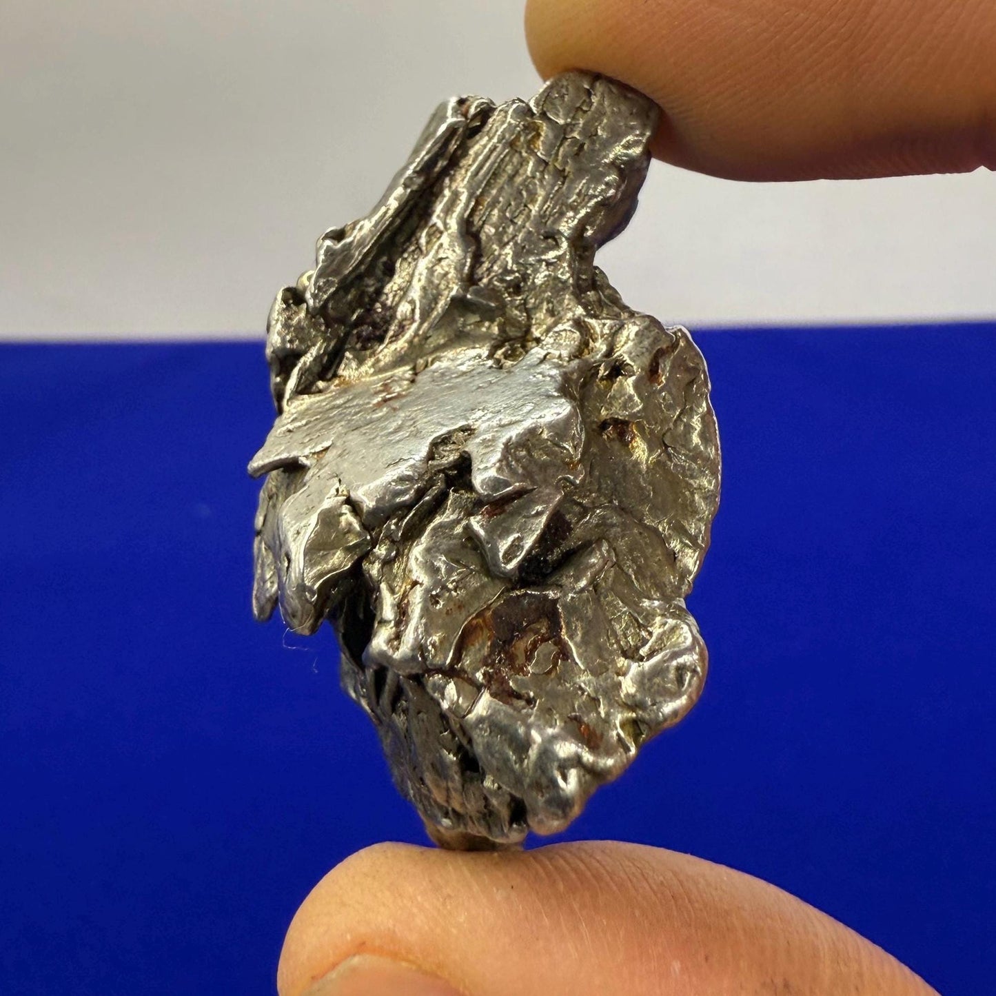 Beautiful Aletai Meteorite Specimen, 45.85 grams, COA, Meteorite Collection, Astronomy Gift, Authentic Iron Meteorite, Space Gift, Space