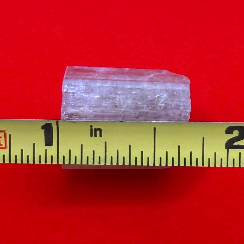 Beautiful Yellow Apatite, Imilchil Morocco, Apatite Crystal, Manifestation, Solar Plexus, Crystal Collection, 10.13 Grams/50.65 Carats
