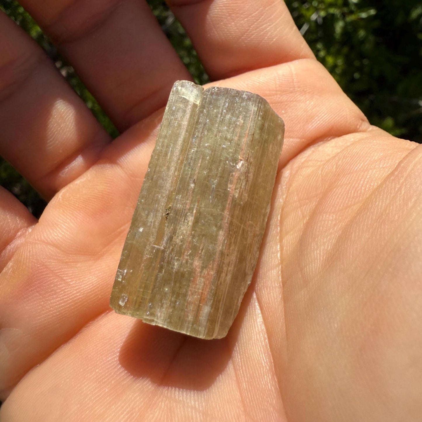 Beautiful Yellow Apatite, Imilchil Morocco, Apatite Crystal, Manifestation, Solar Plexus, Crystal Collection, 25.26 Grams/126.3 Carats