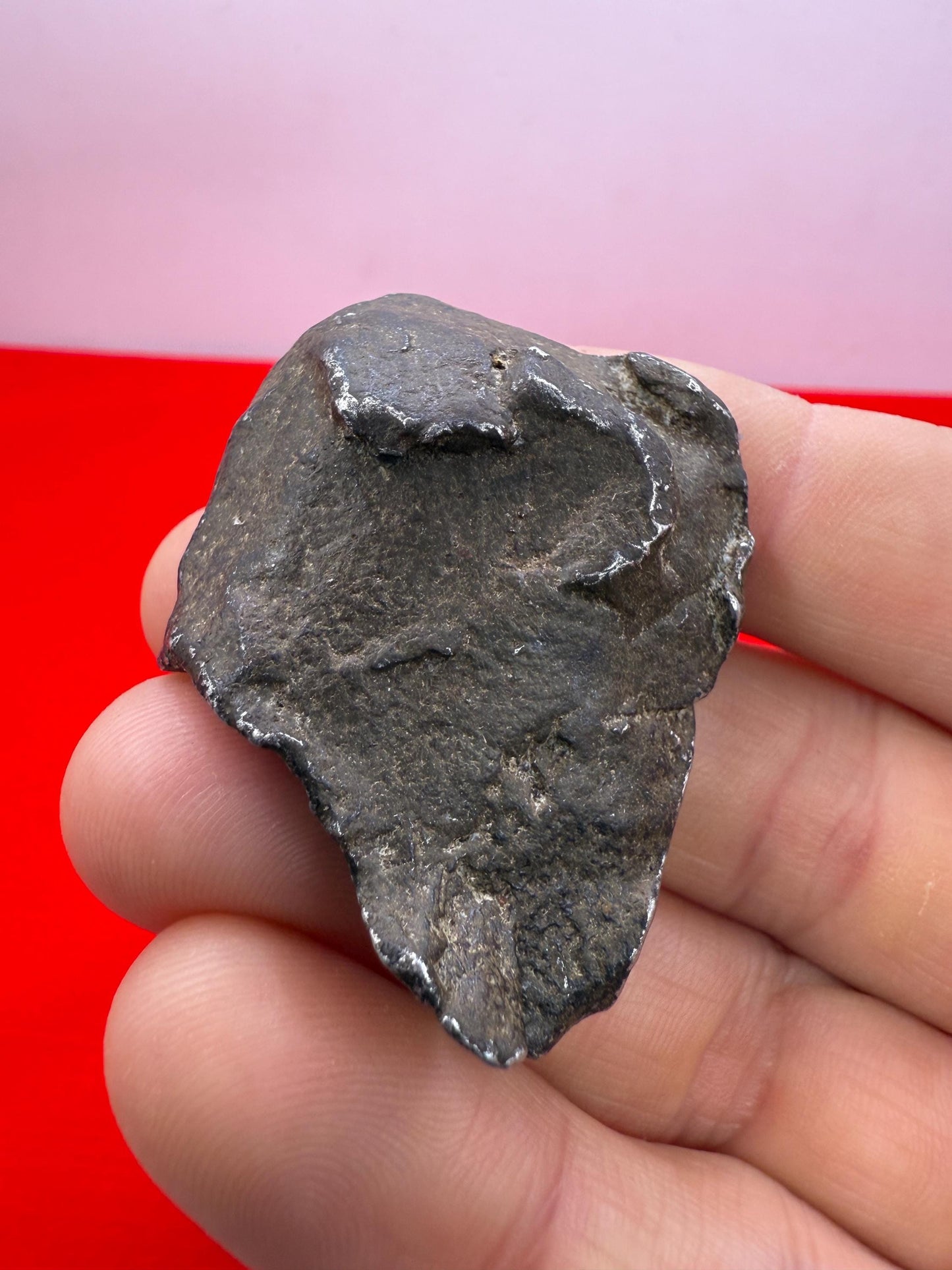 Unique Iron Meteorite Specimen Gebel Kamil, 72.49 grams, Astronomy Gift, Space Gift, Iron Meteorite, Egypt, Meteorite Collection, Space