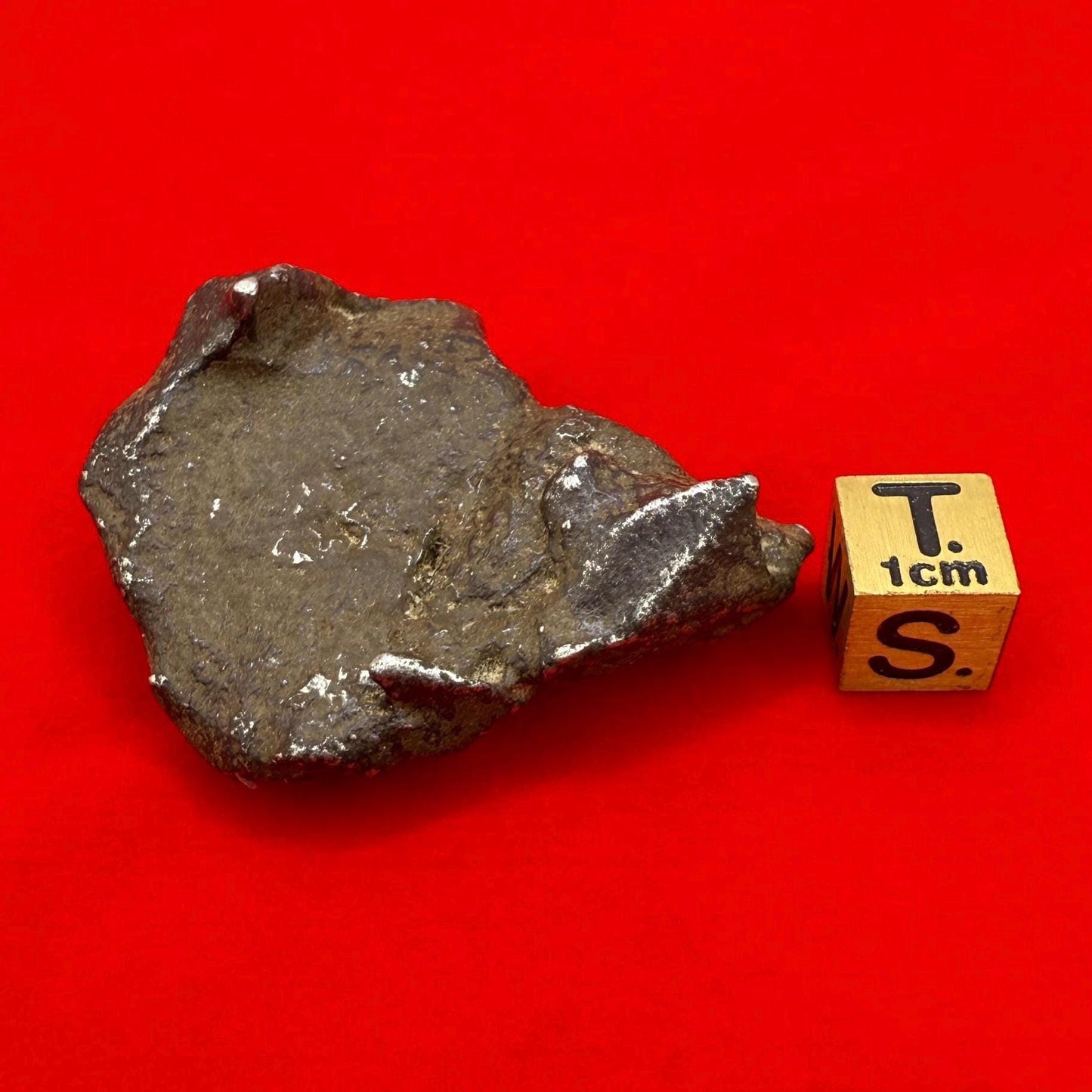 Unique Iron Meteorite Specimen Gebel Kamil, 72.49 grams, Astronomy Gift, Space Gift, Iron Meteorite, Egypt, Meteorite Collection, Space
