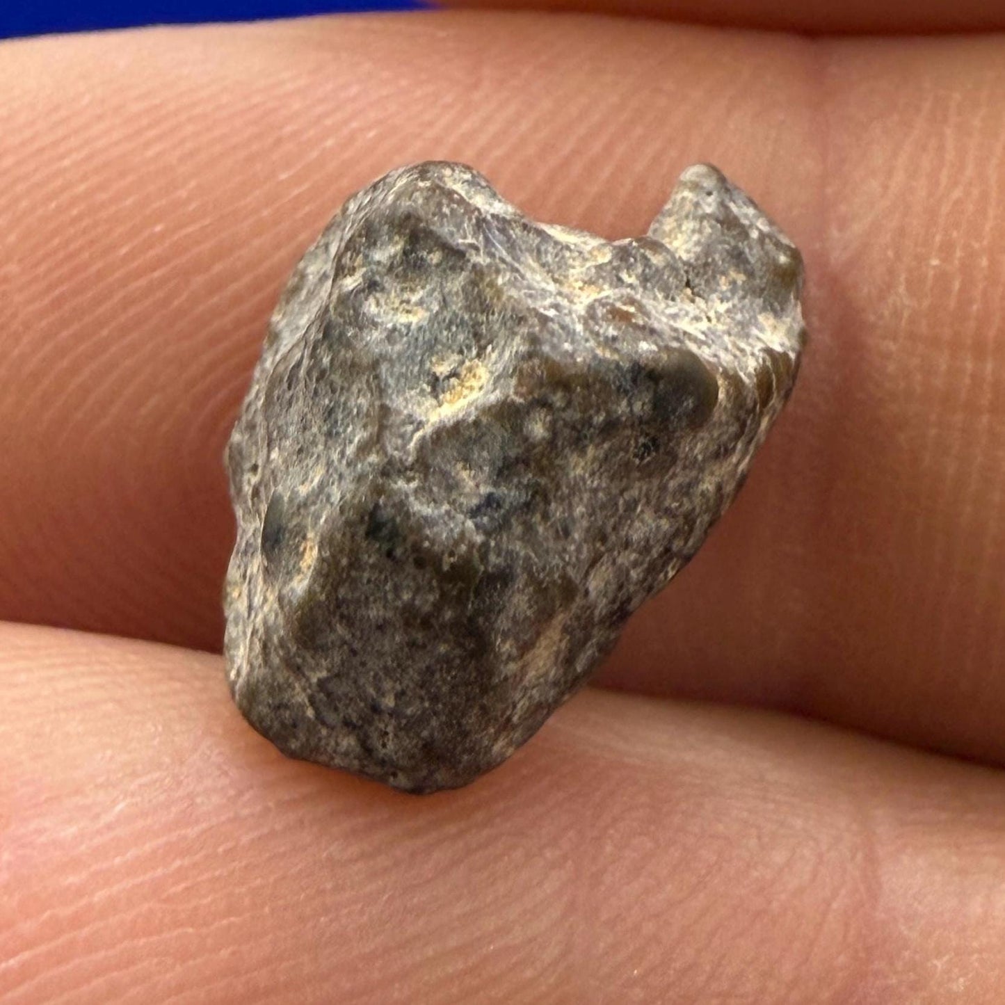 NWA 13974 Moon|Lunar Meteorite, Feldspathic Breccia, Moon Meteorite, Meteorite Collection, Lunar Feldspathic Breccia, 1.05 grams