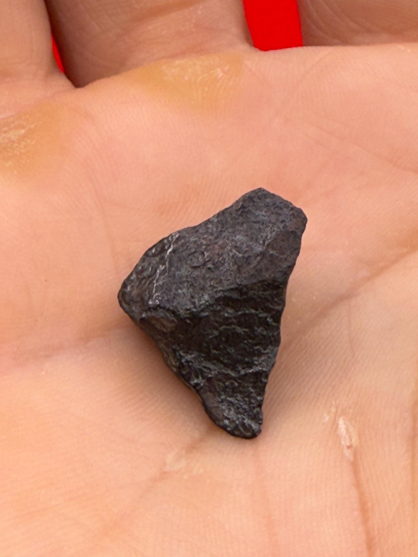 Gibeon Meteorite, Namibia, Iron IVA, 5.96 grams, Rare Meteorite, Iron Meteorite, Astronomy Gift, Space Gift, African Meteorite