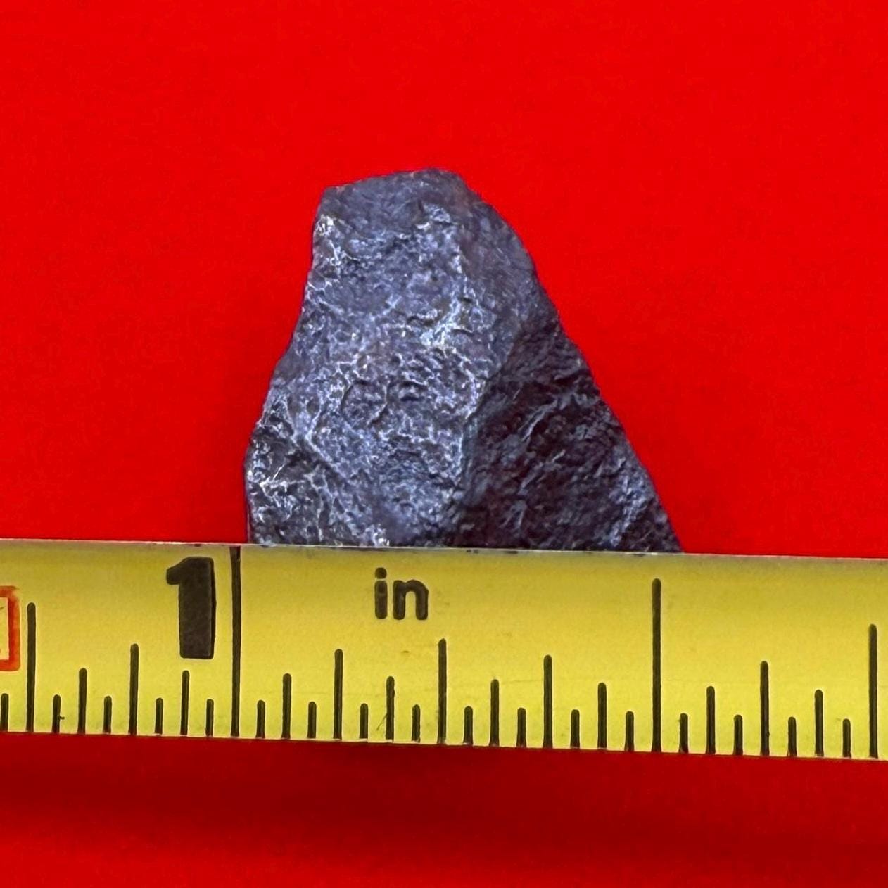 Gibeon Meteorite, Namibia, Iron IVA, 5.96 grams, Rare Meteorite, Iron Meteorite, Astronomy Gift, Space Gift, African Meteorite