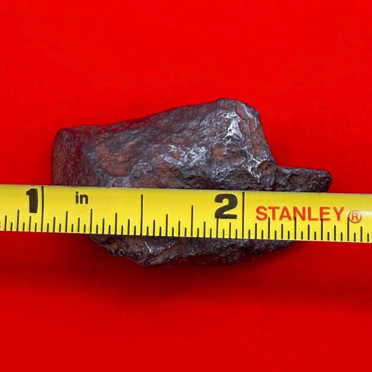 Gibeon Meteorite, Namibia, Iron IVA, 36.31 grams, Rare Meteorite, Iron Meteorite, Astronomy Gift, Space Gift, African Meteorite