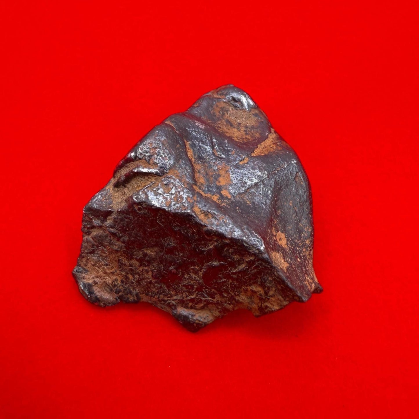 Gibeon Meteorite, Namibia, Iron IVA, 43.07 grams, Rare Meteorite, Iron Meteorite, Astronomy Gift, Space Gift, African Meteorite