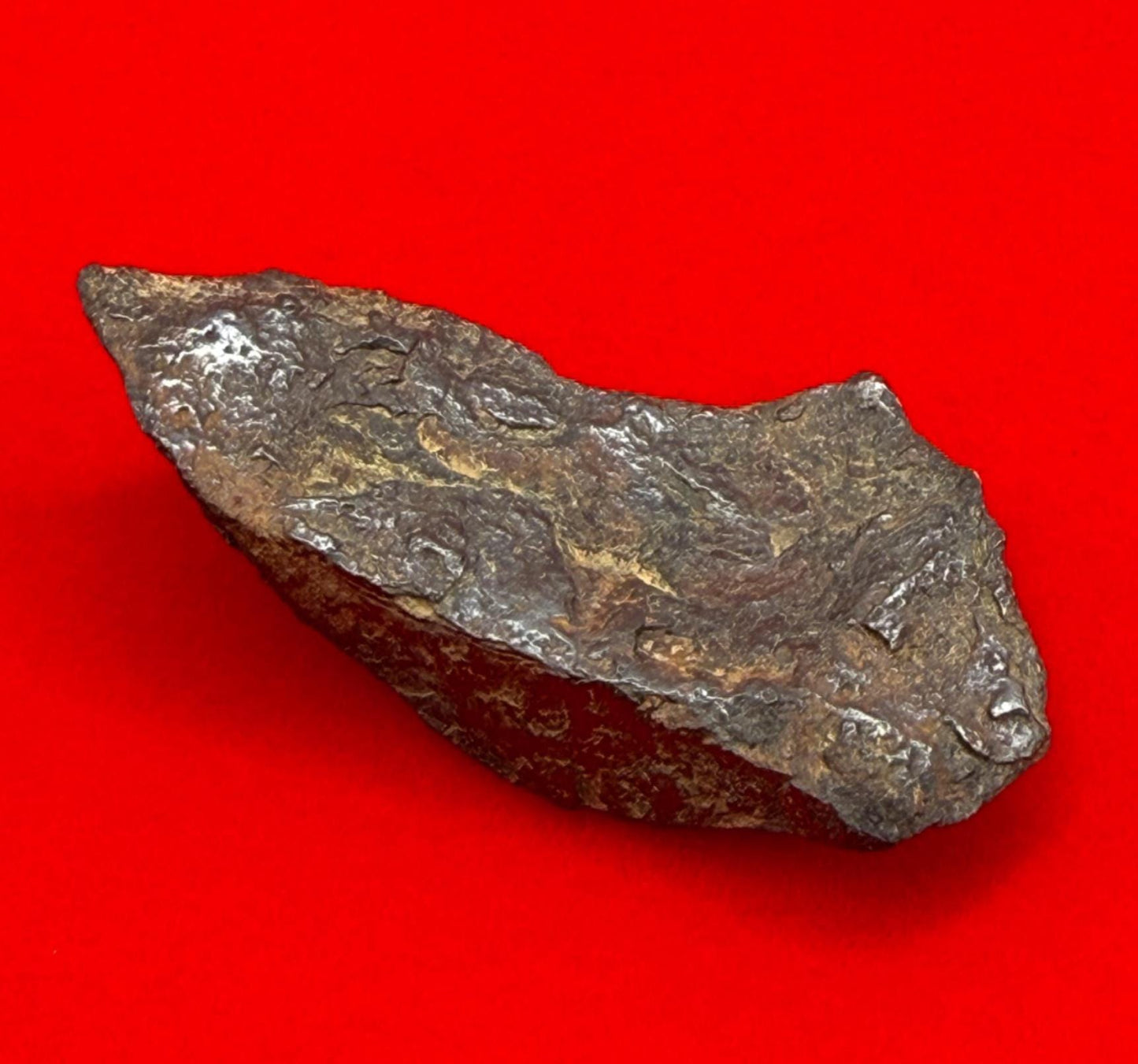 Gibeon Meteorite, Namibia, Iron IVA, 17.10 grams, Rare Meteorite, Iron Meteorite, Astronomy Gift, Space Gift, African Meteorite