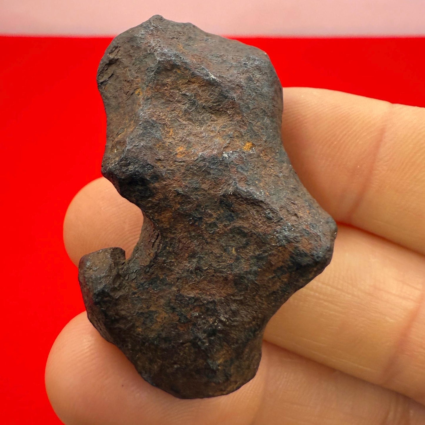 Unique Iron Meteorite Mundrabilla, 69.82 grams, Astronomy Gift, Space Gift, Iron Meteorite, Australia, Meteorite Collection, Space, COA