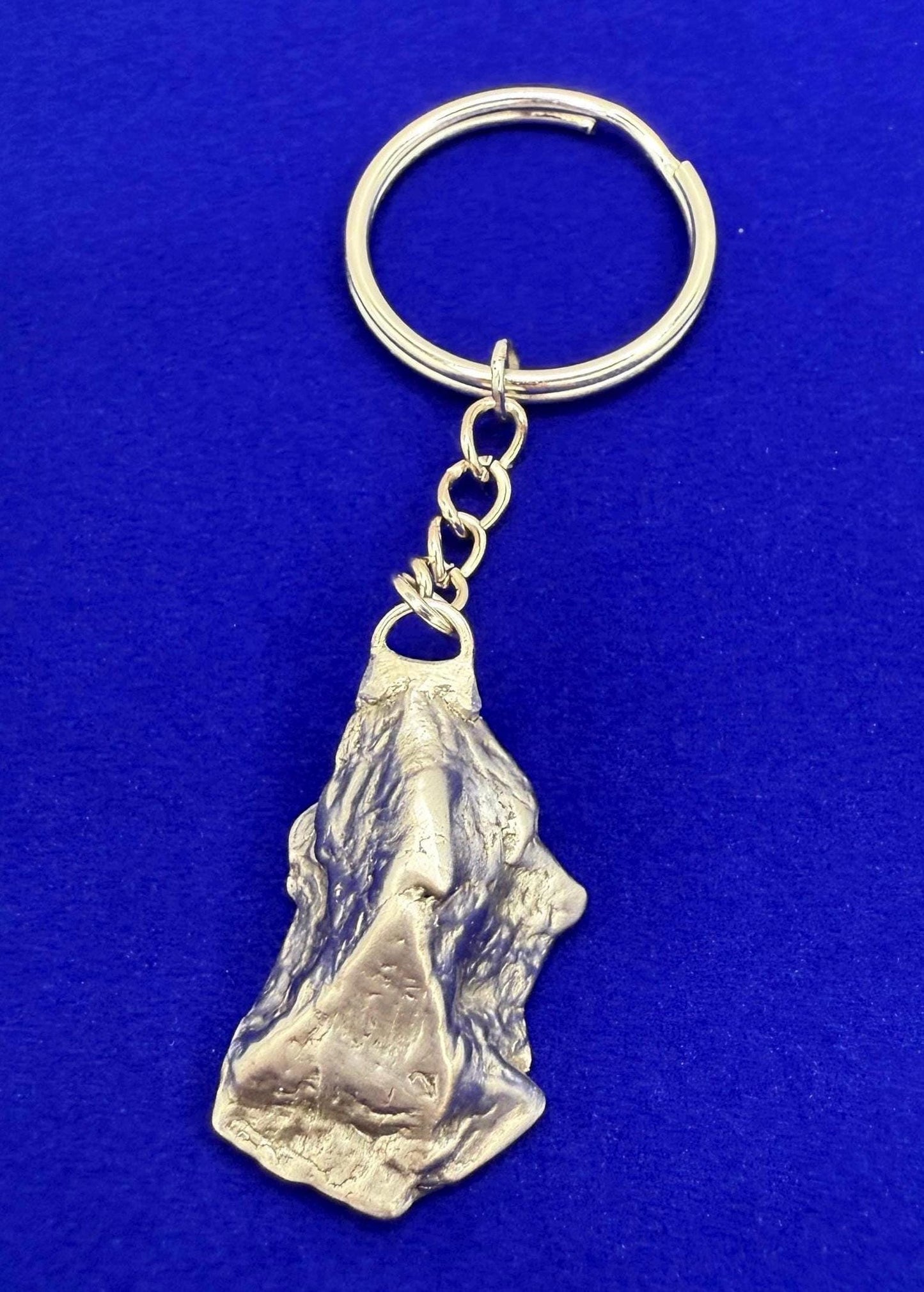 Rare Genuine Aletai Meteorite Keychain, Iron Meteorite, COA, Aletai, Astronomy Gift, Space Gift, Keychain, Space Accessories, 30.63 Grams