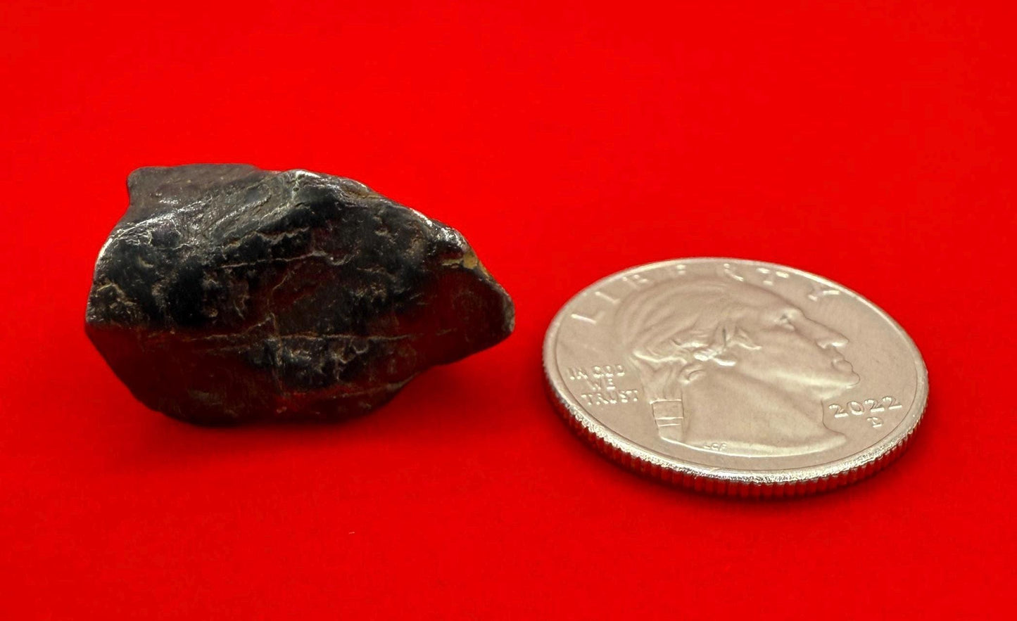 Canyon Diablo Meteorite Specimen, Arizona, 15.13 grams, Rare Meteorite, Iron Meteorite, Astronomy Gift, Space Gift, Energy Work, Meteorite