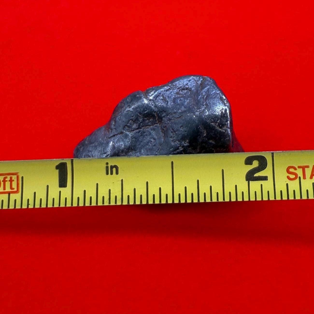 Canyon Diablo Meteorite Specimen, Arizona, 15.13 grams, Rare Meteorite, Iron Meteorite, Astronomy Gift, Space Gift, Energy Work, Meteorite