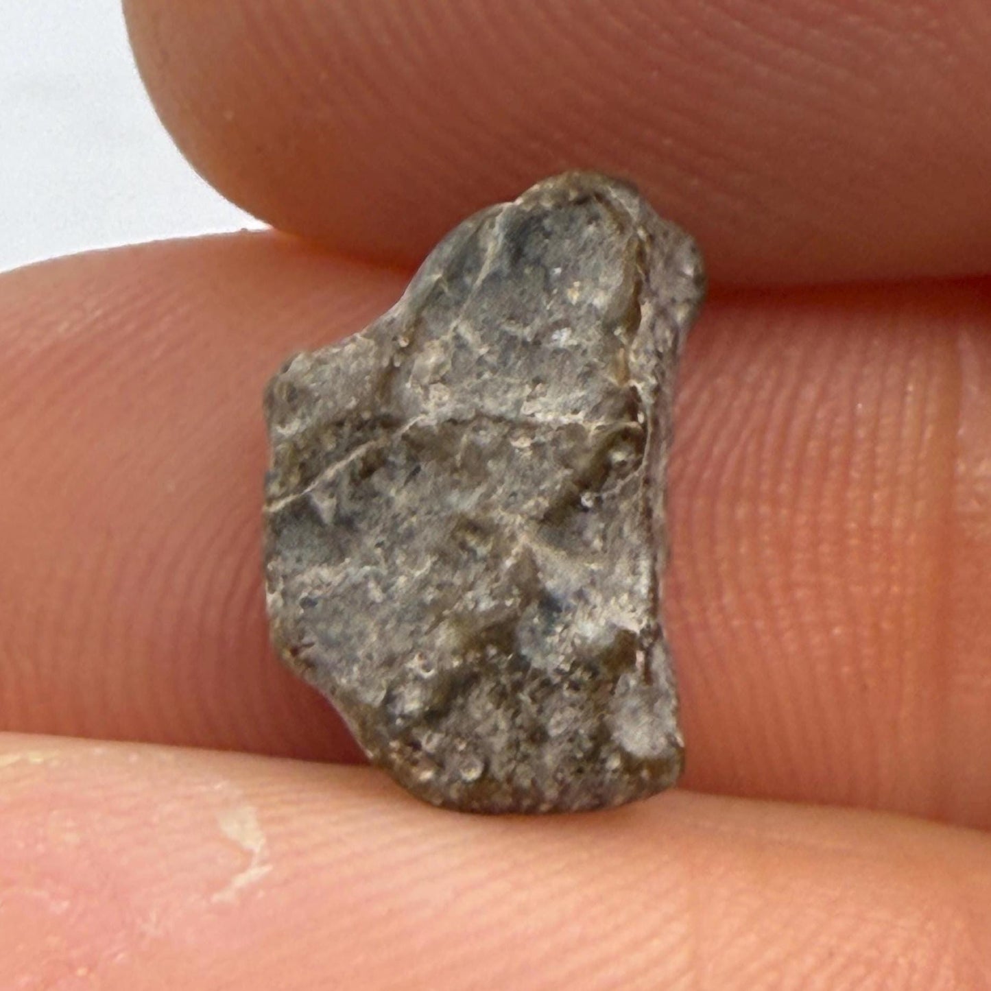 NWA 13974 Moon|Lunar Meteorite, Feldspathic Breccia, Moon Meteorite, Meteorite Collection, Lunar Feldspathic Breccia, 0.62 grams