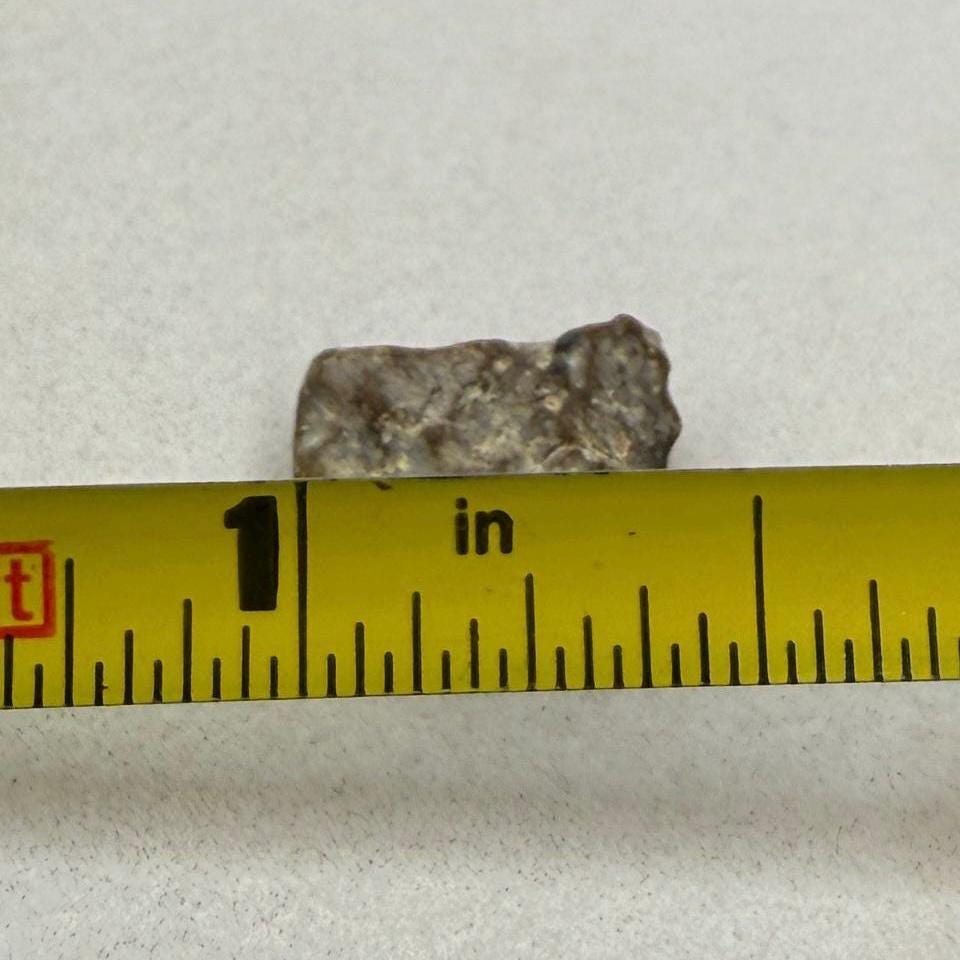 NWA 13974 Moon|Lunar Meteorite, Feldspathic Breccia, Moon Meteorite, Meteorite Collection, Lunar Feldspathic Breccia, 0.62 grams