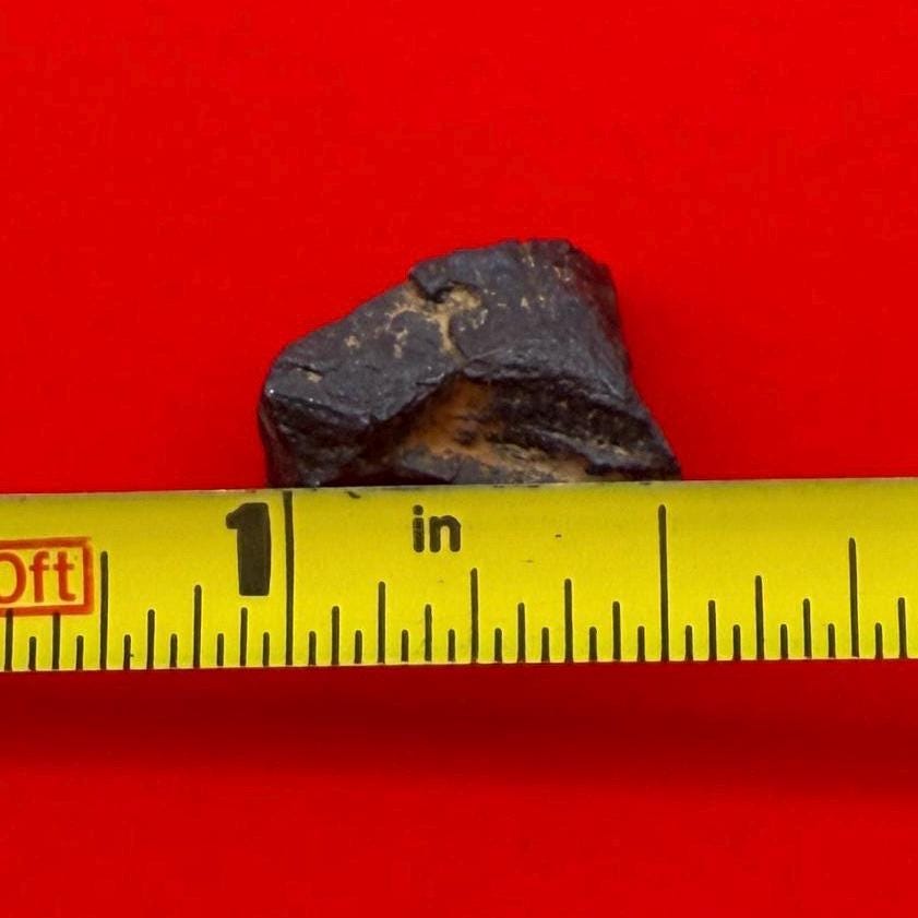Gibeon Meteorite, Namibia, Iron IVA, 5.18 grams, Rare Meteorite, Iron Meteorite, Astronomy Gift, Space Gift, African Meteorite