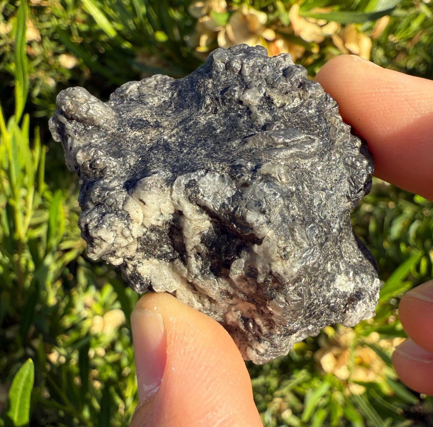 Phenacite|Phenakite Crystal, Brazilian Phenacite, Black Phenacite, Biotite, Authentic Phenacite, Self Awakening, 59.16 grams/295.8 carats