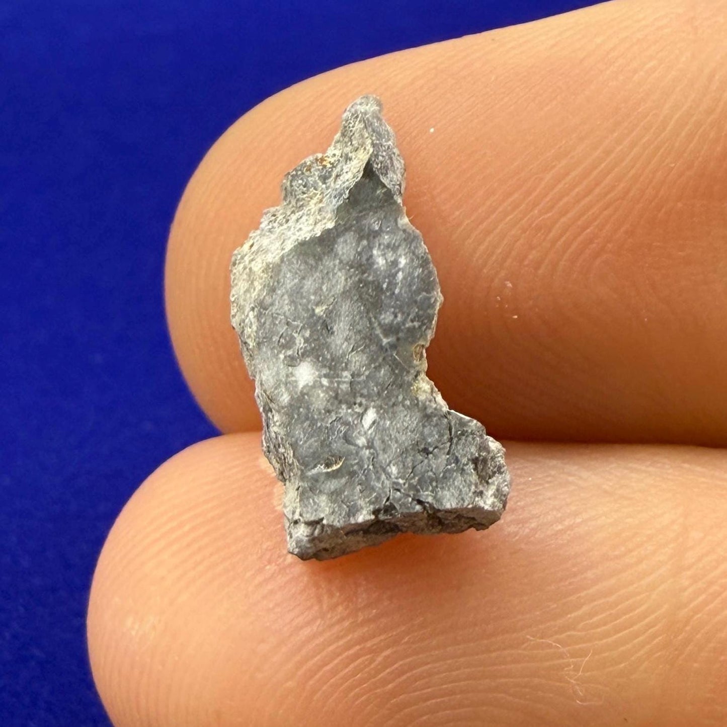 Gadamis 003 Moon/Lunar Meteorite Slice, Authentic Lunar Meteorite,Apollo Lunar, Moon Meteorite, Meteorite Collection, Moon Slice, 0.54 grams