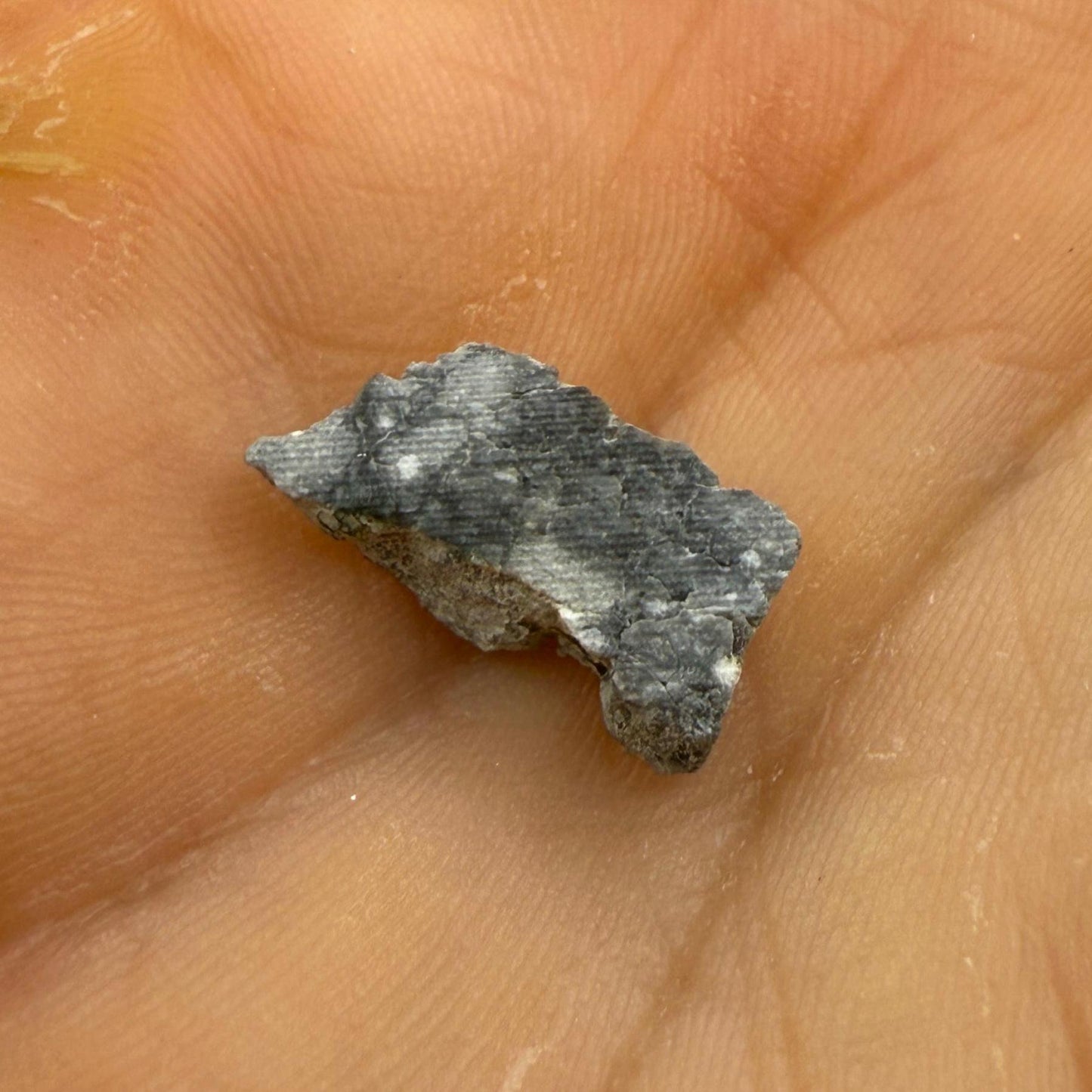 Gadamis 003 Moon/Lunar Meteorite Slice, Authentic Lunar Meteorite,Apollo Lunar, Moon Meteorite, Meteorite Collection, Moon Slice, 0.54 grams