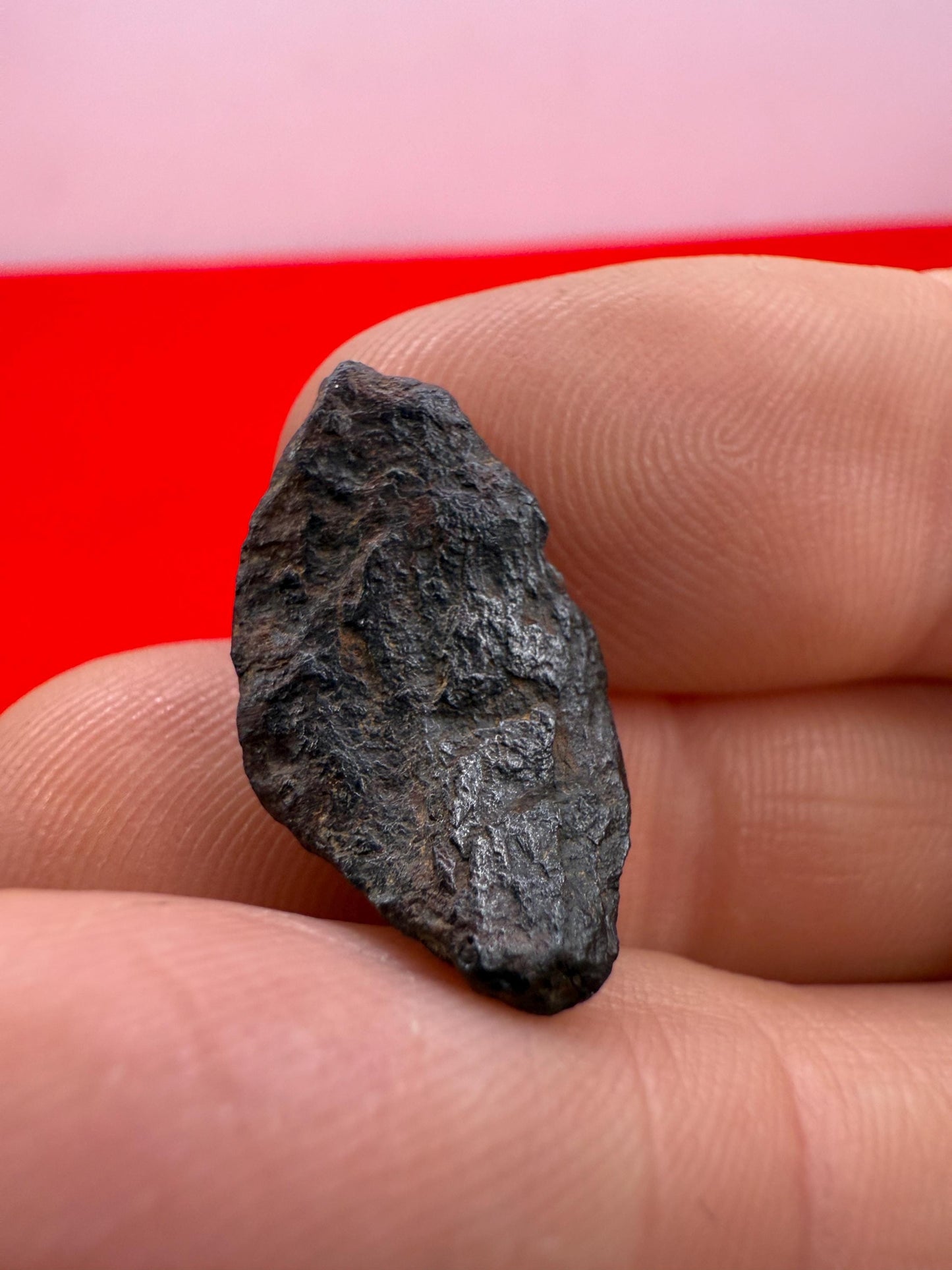 Gibeon Meteorite, Namibia, Iron IVA, 3.86 grams, Rare Meteorite, Iron Meteorite, Astronomy Gift, Space Gift, African Meteorite