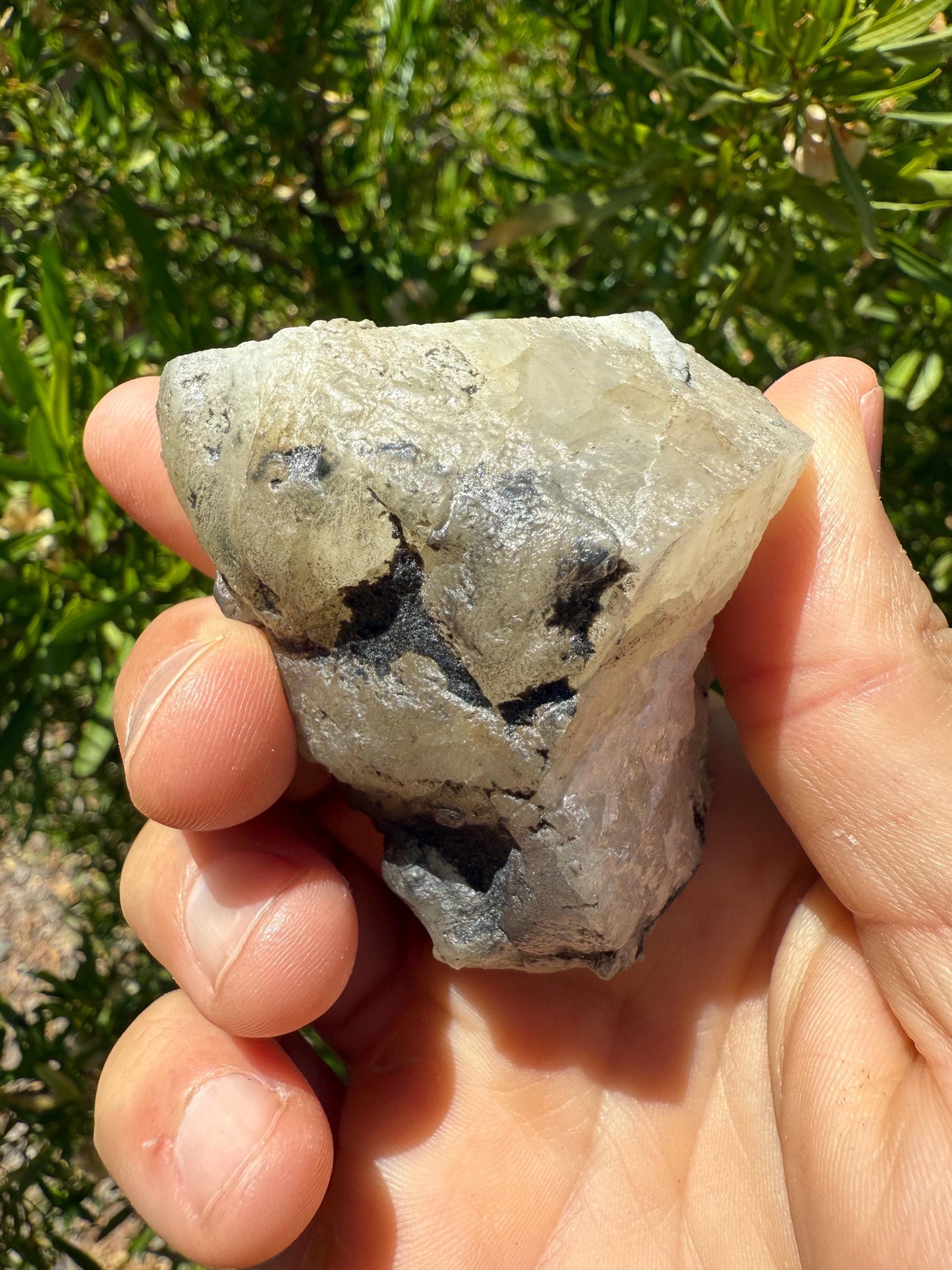 Rare Brazilian Phenacite Crystal 139.35 (697 Carats) High-Vibration Gem from Bahia, Brazil, Metaphysical & Collectible Crystal Specimen