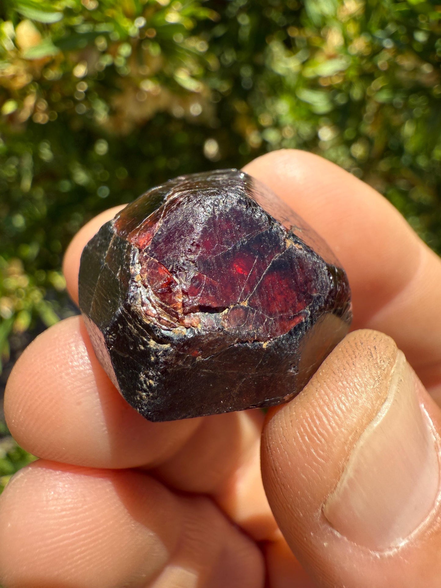 Almandine Garnet, Garnet, Morocco, Natural Garnet, Authentic, Manifestation, Protection, Rock Collection, Dodecahedron, 24.76 grams