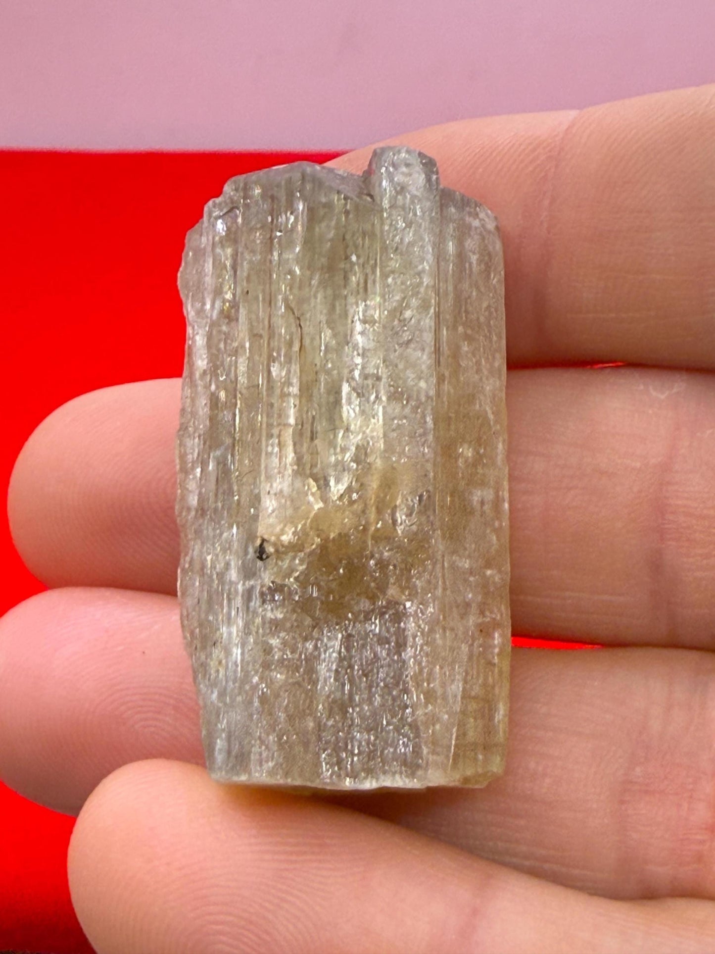 Beautiful Yellow Apatite, Imilchil Morocco, Apatite Crystal, Manifestation, Solar Plexus, Crystal Collection, 25.26 Grams/126.3 Carats