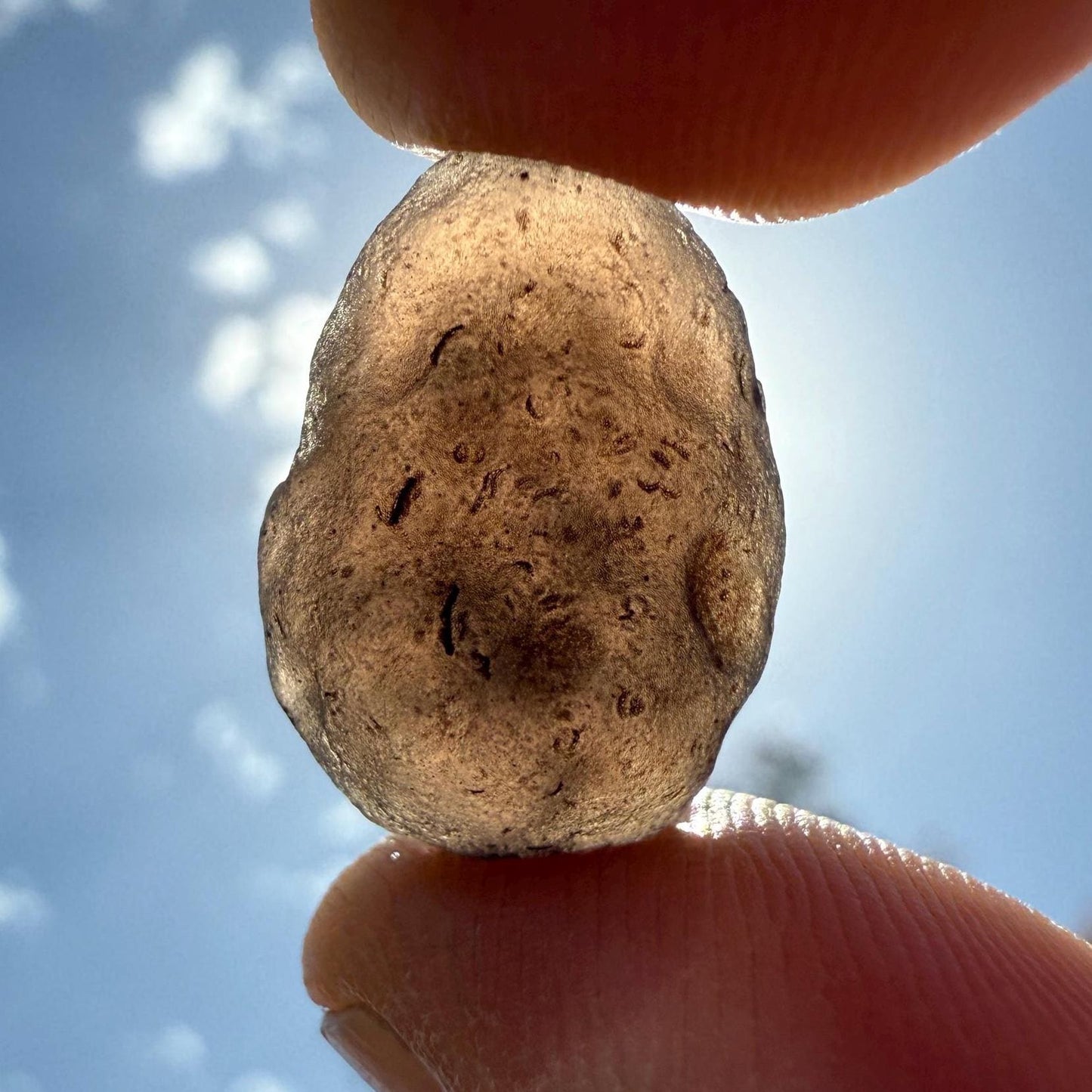 Saffordite Specimen, Cintamani, Rare and Beautiful, Shamanic, Arizona, Pseudotektite, Obsidian, Metaphysical, 2.77 grams