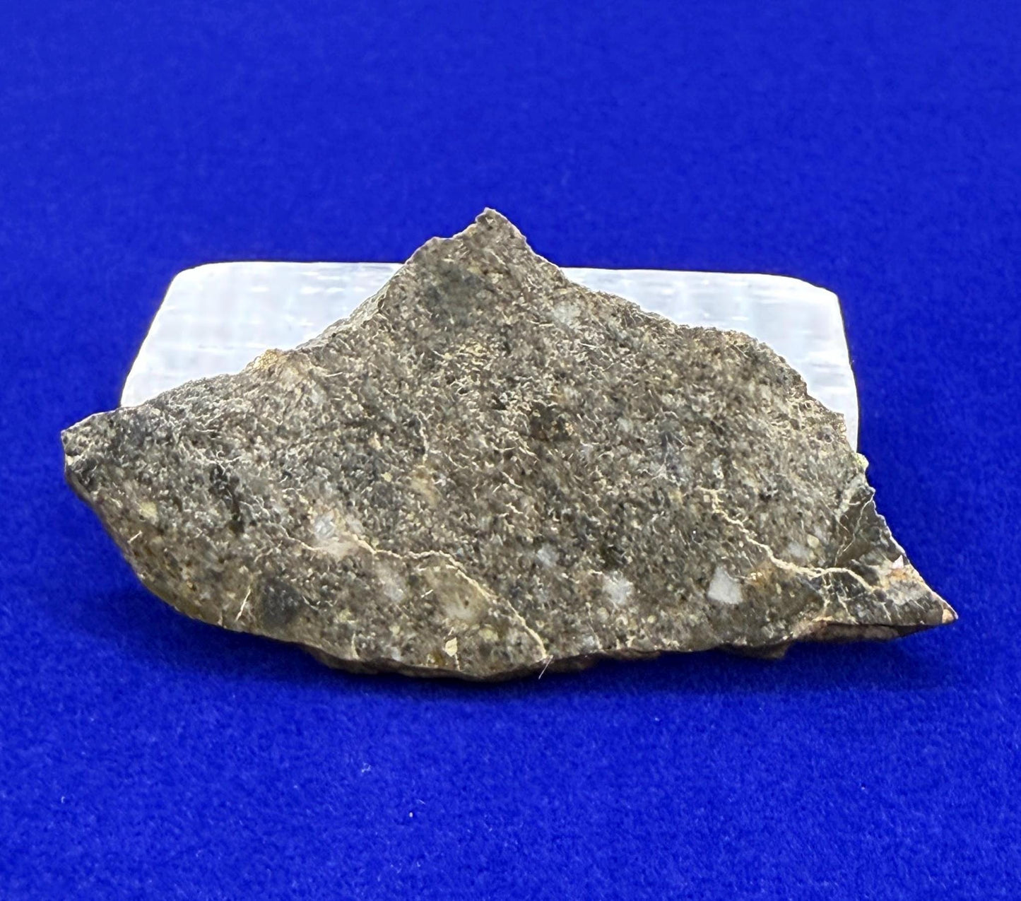 NWA 11182 Moon/Lunar Slice, Moon Rock, Moon Meteorite, Lunar Feldspathic Breccia, Meteorite Collection, Space Gift, Astronomy Gift, 5.27g